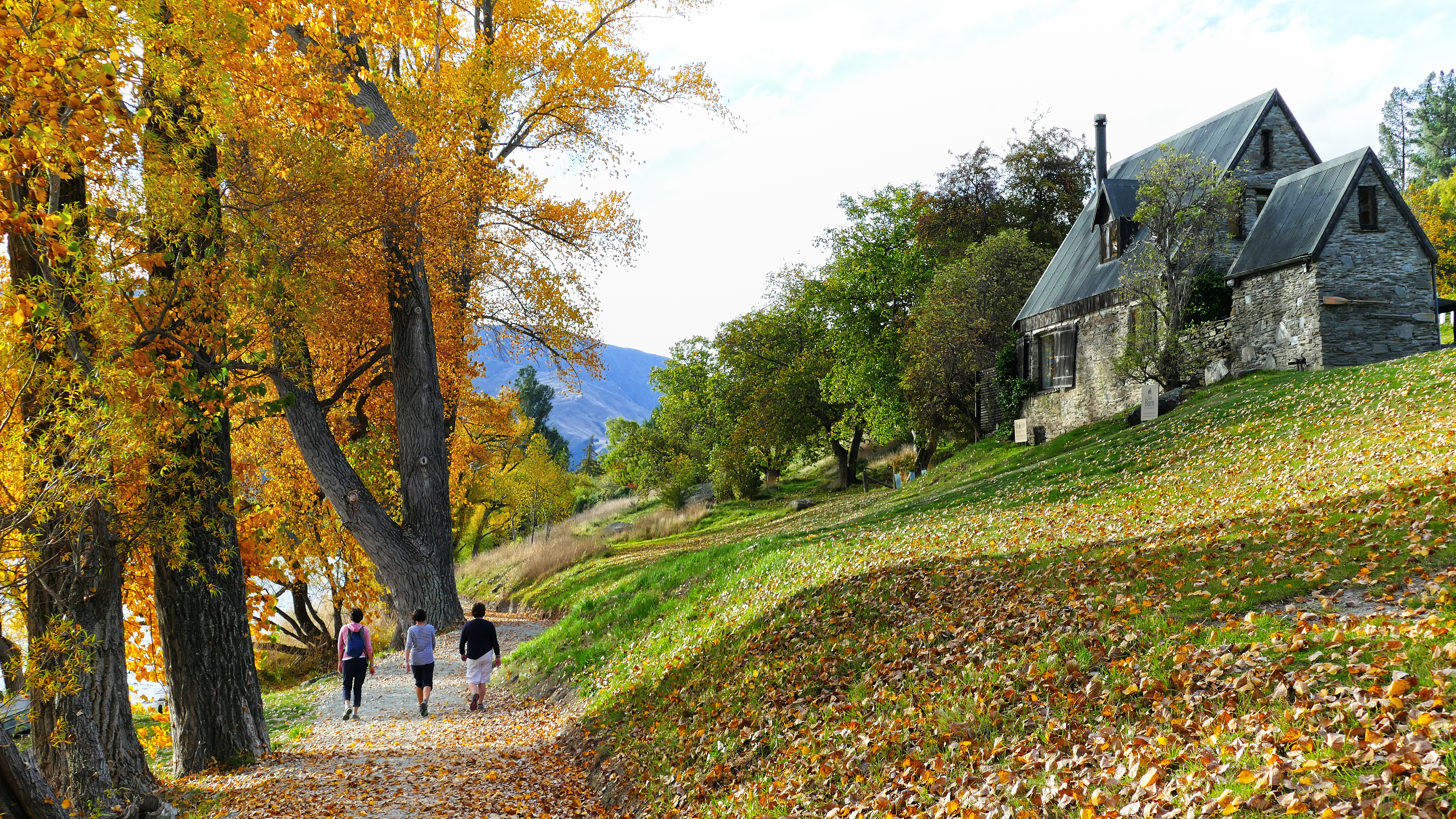 Autumn Tree Landscape Royalty Free Photo