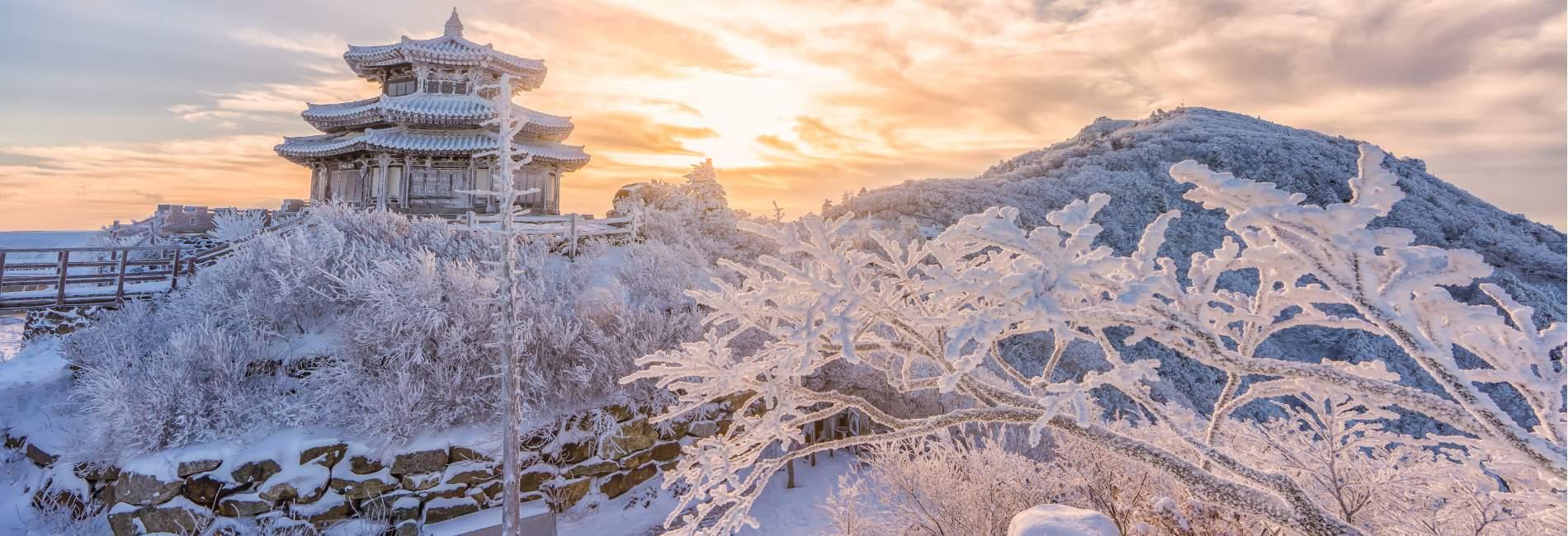 Winter Wonderland One Day Tour from Seoul