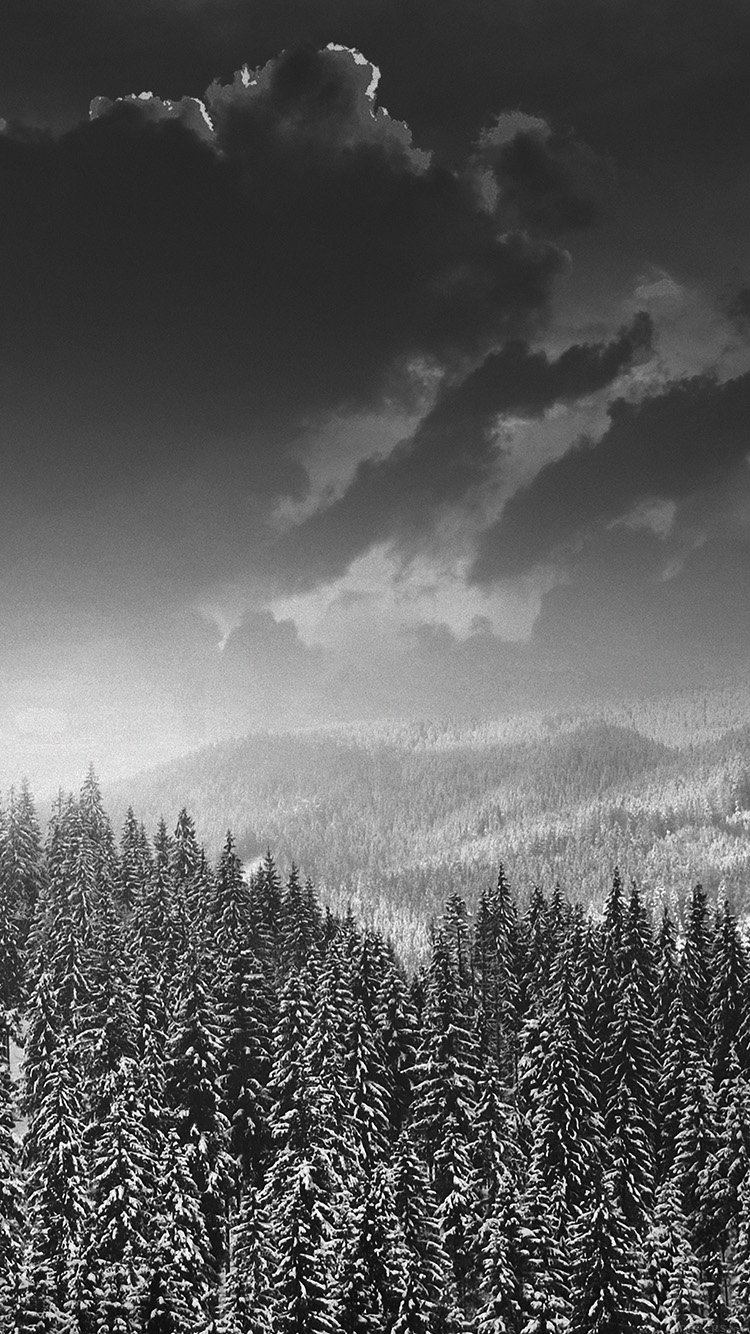iPhone X wallpaper. winter mountain snow dark bw nature