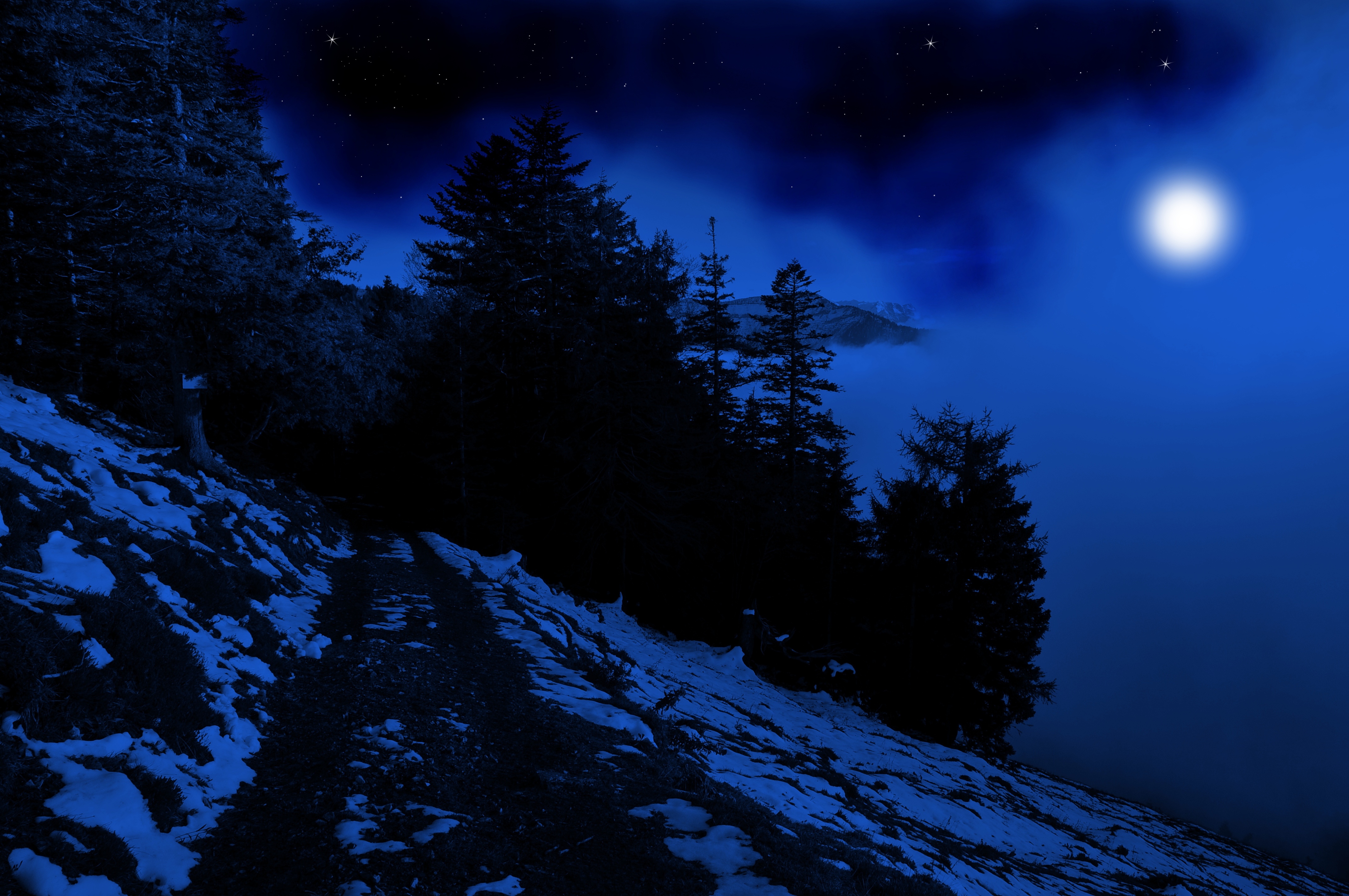 Wallpaper winter, forest, the sky, stars, snow, trees, mountains, nature for mobile and desktop, section пейзажи, resolution 4288x2848
