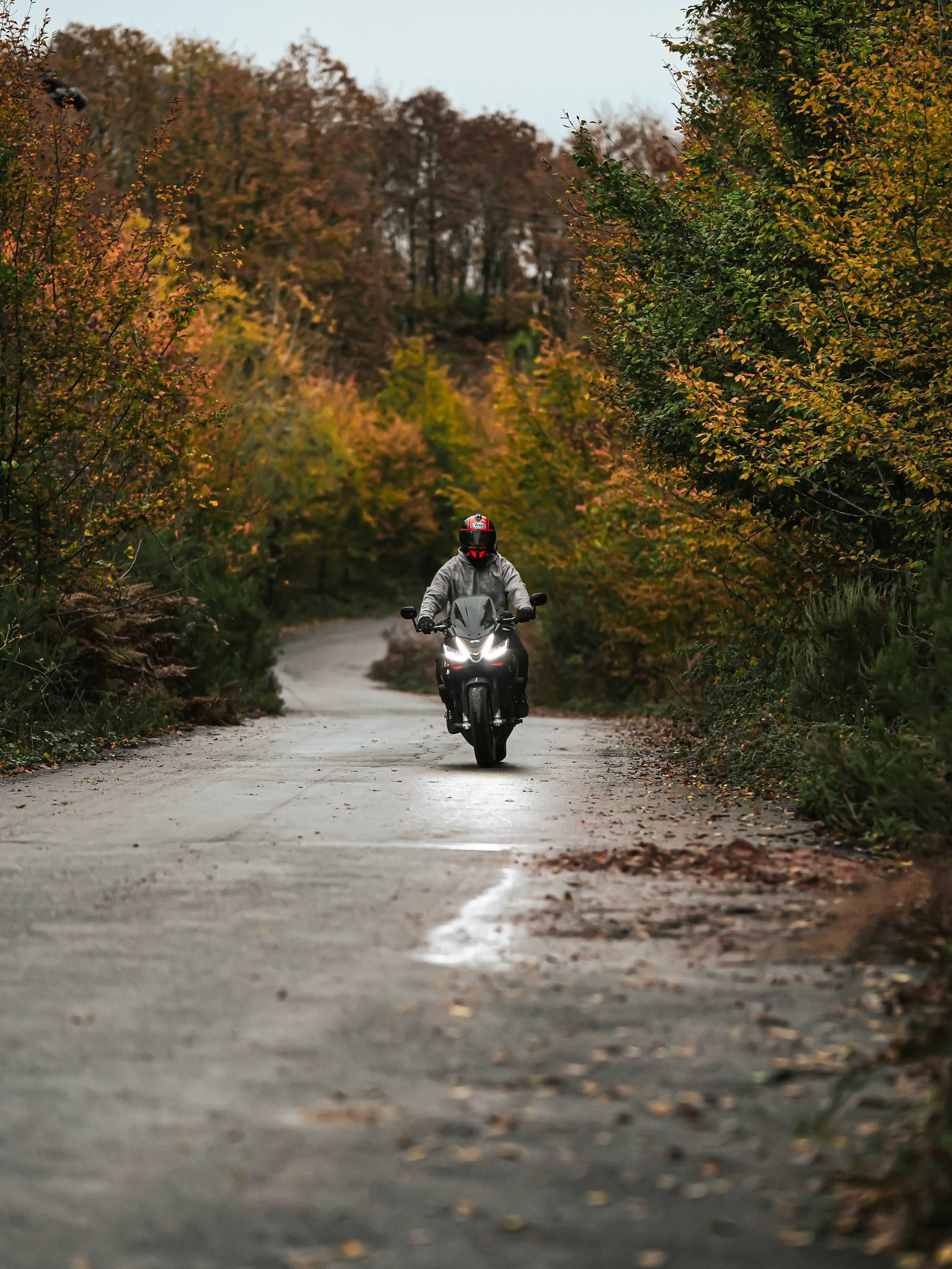 Motorcyclist Rides through Autumn Forest Road · Free