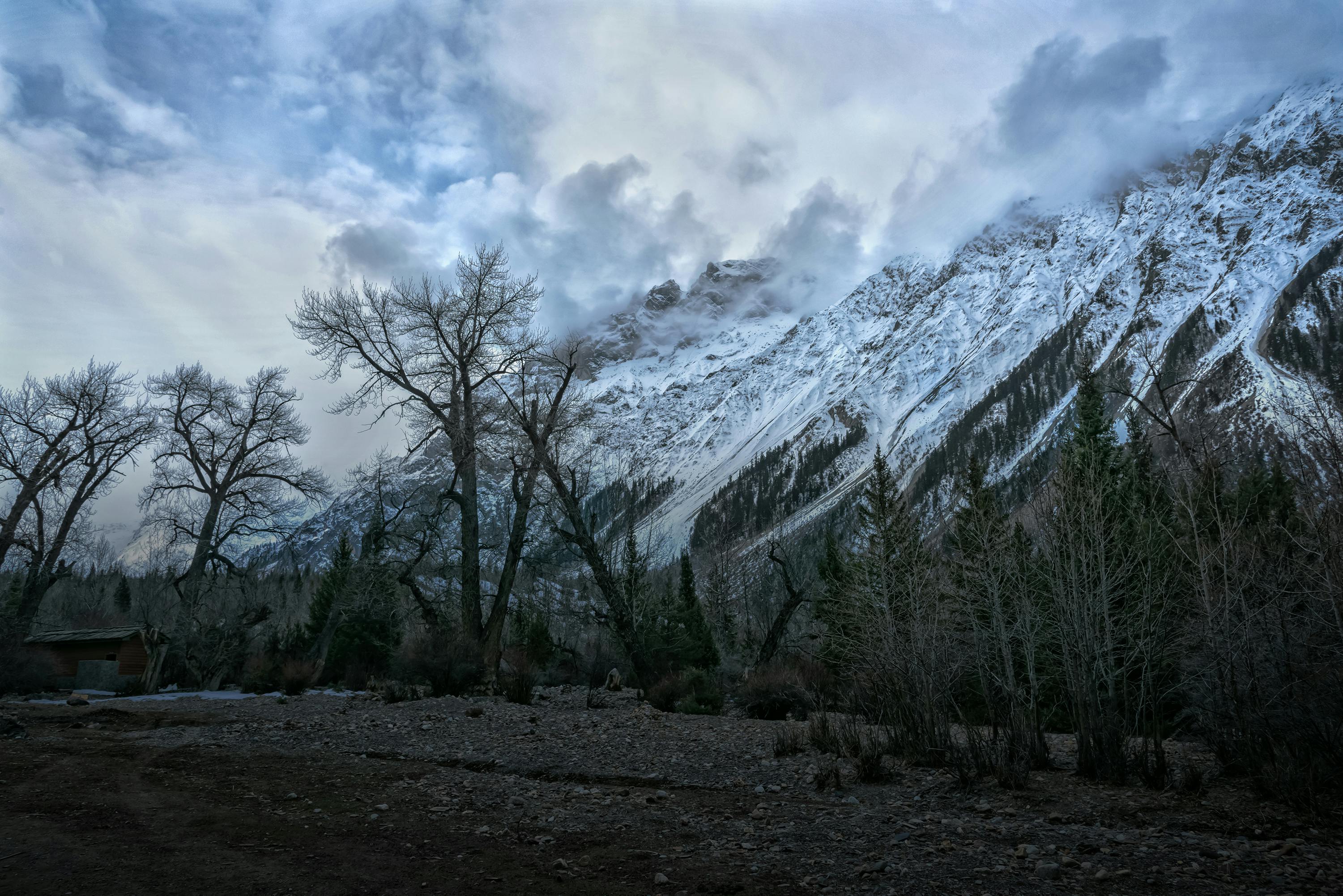 Scenic Winter Landscape of a Mountain · Free