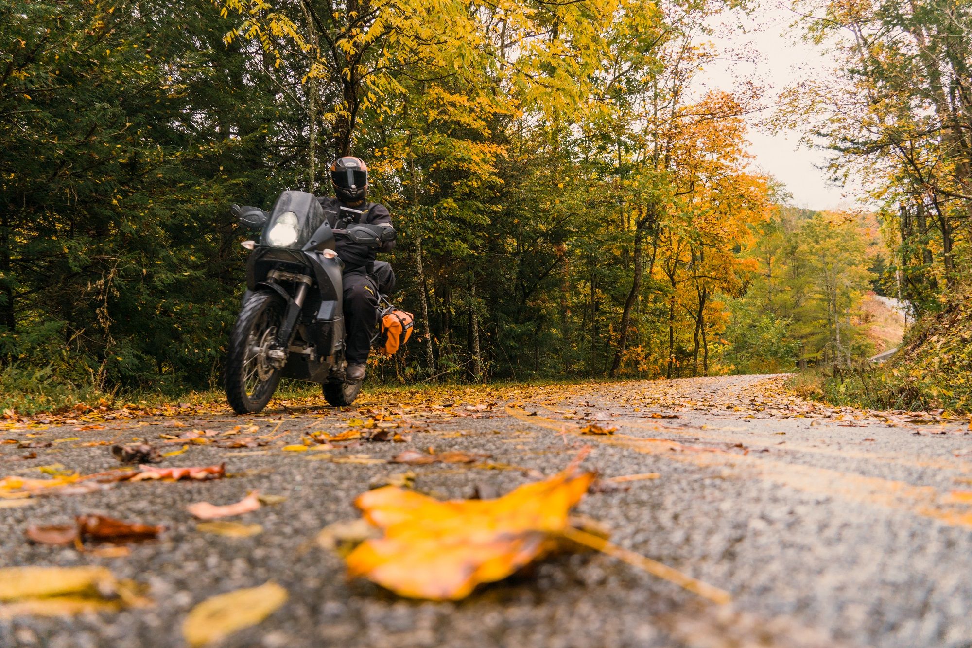 Fall in Appalachia: Abundant Turns and Autumn Tones