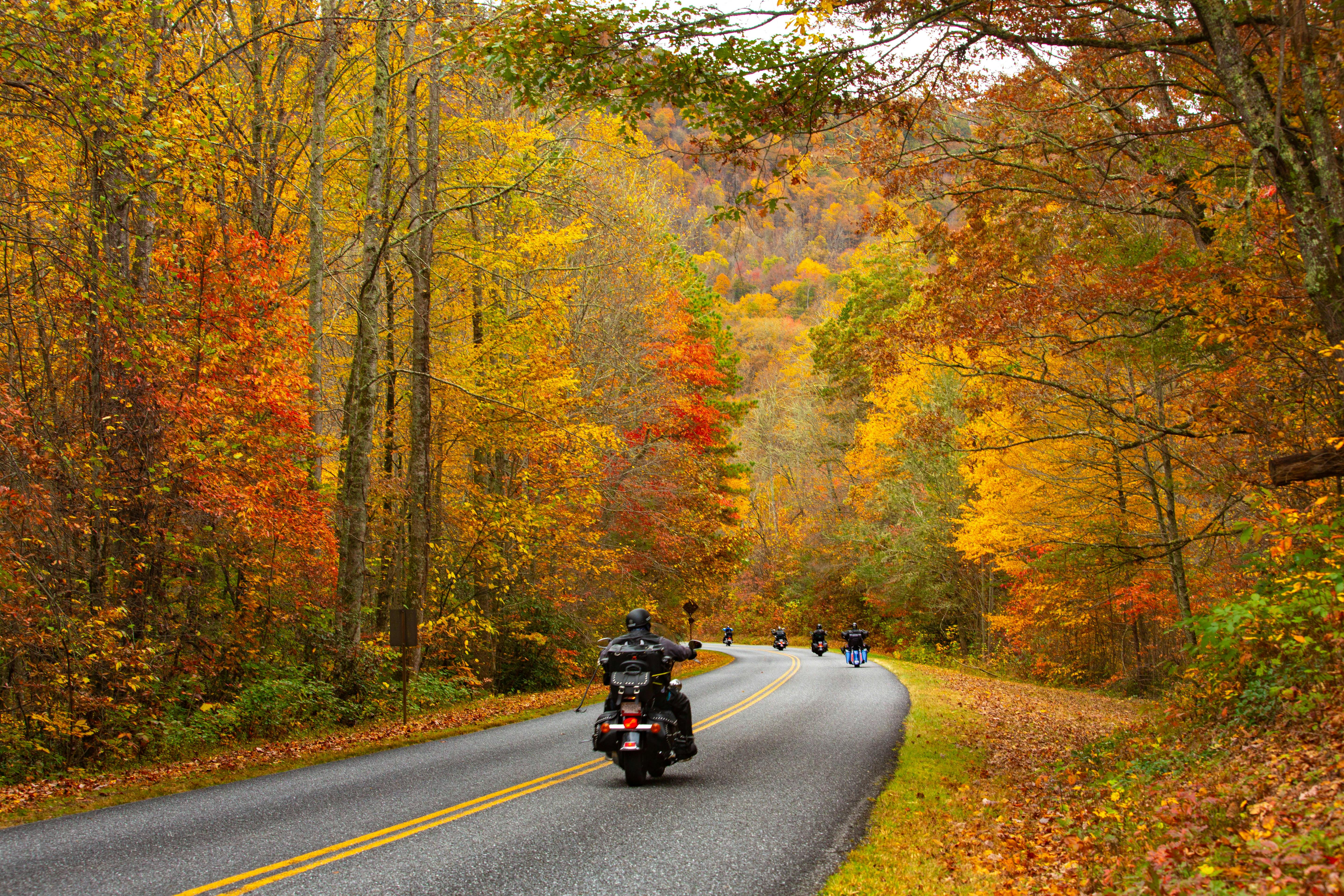 Top Scenic Fall Motorcycle Rides to Plan Right Now