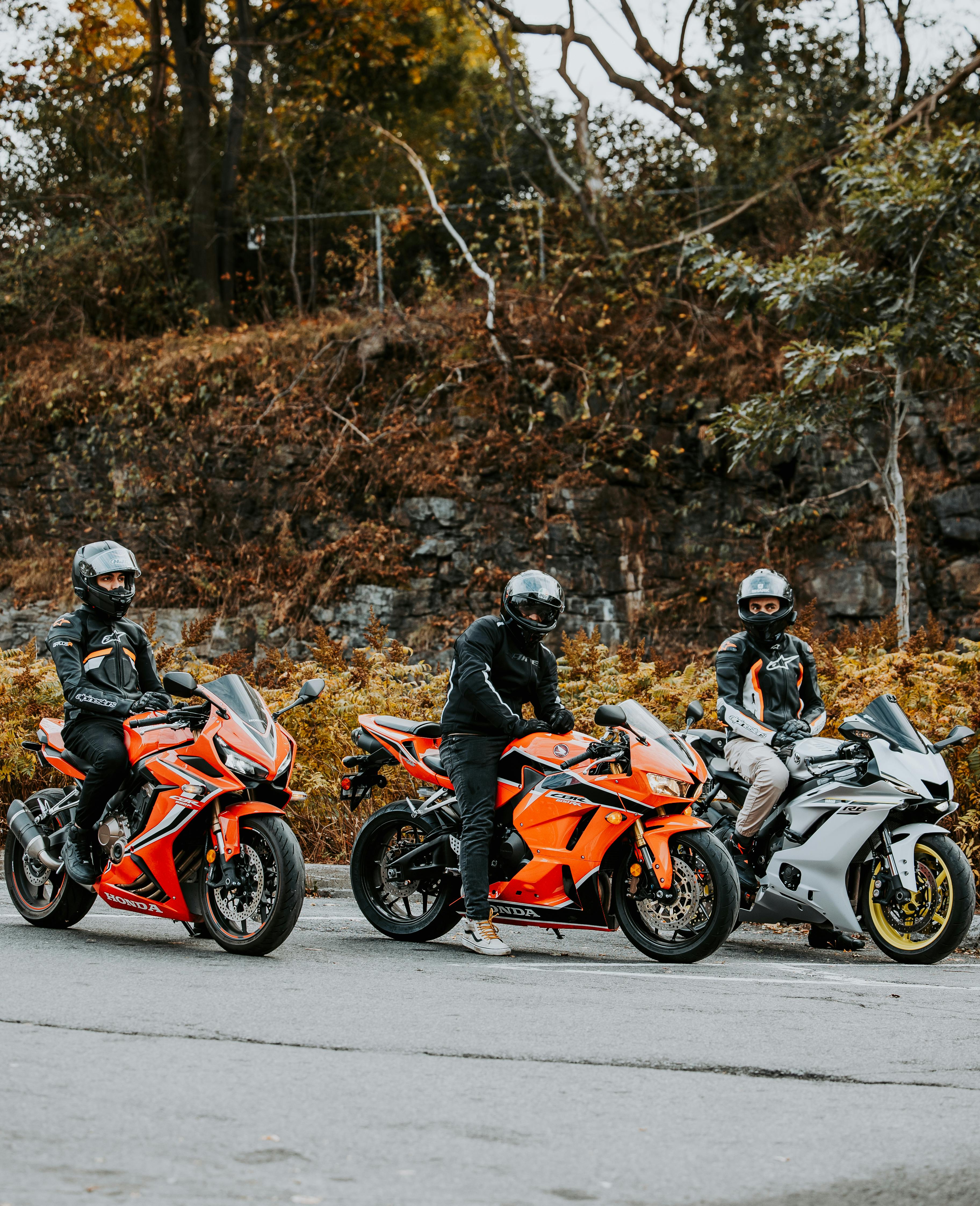 Three Bikers in Autumn · Free