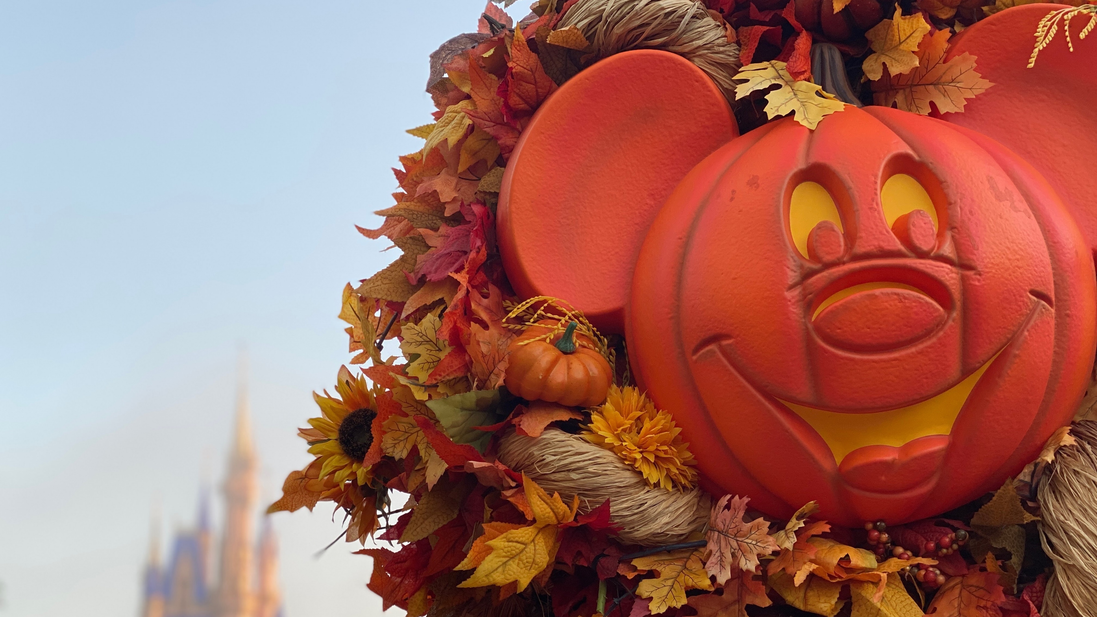 Mickey Mouse Wallpaper 4K, Pumpkin, Thanksgiving