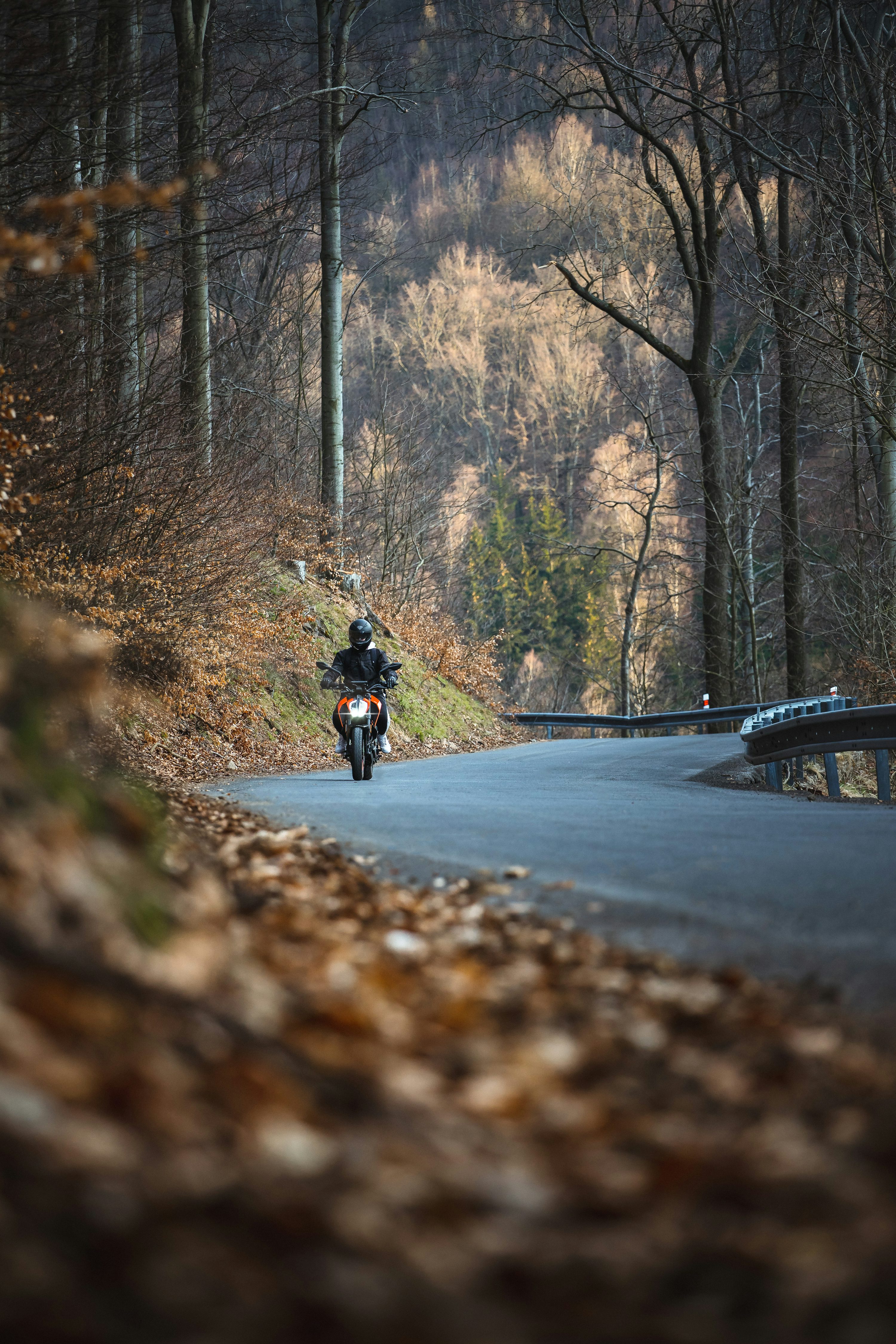 Motorbike Ride Picture. Download Free Image