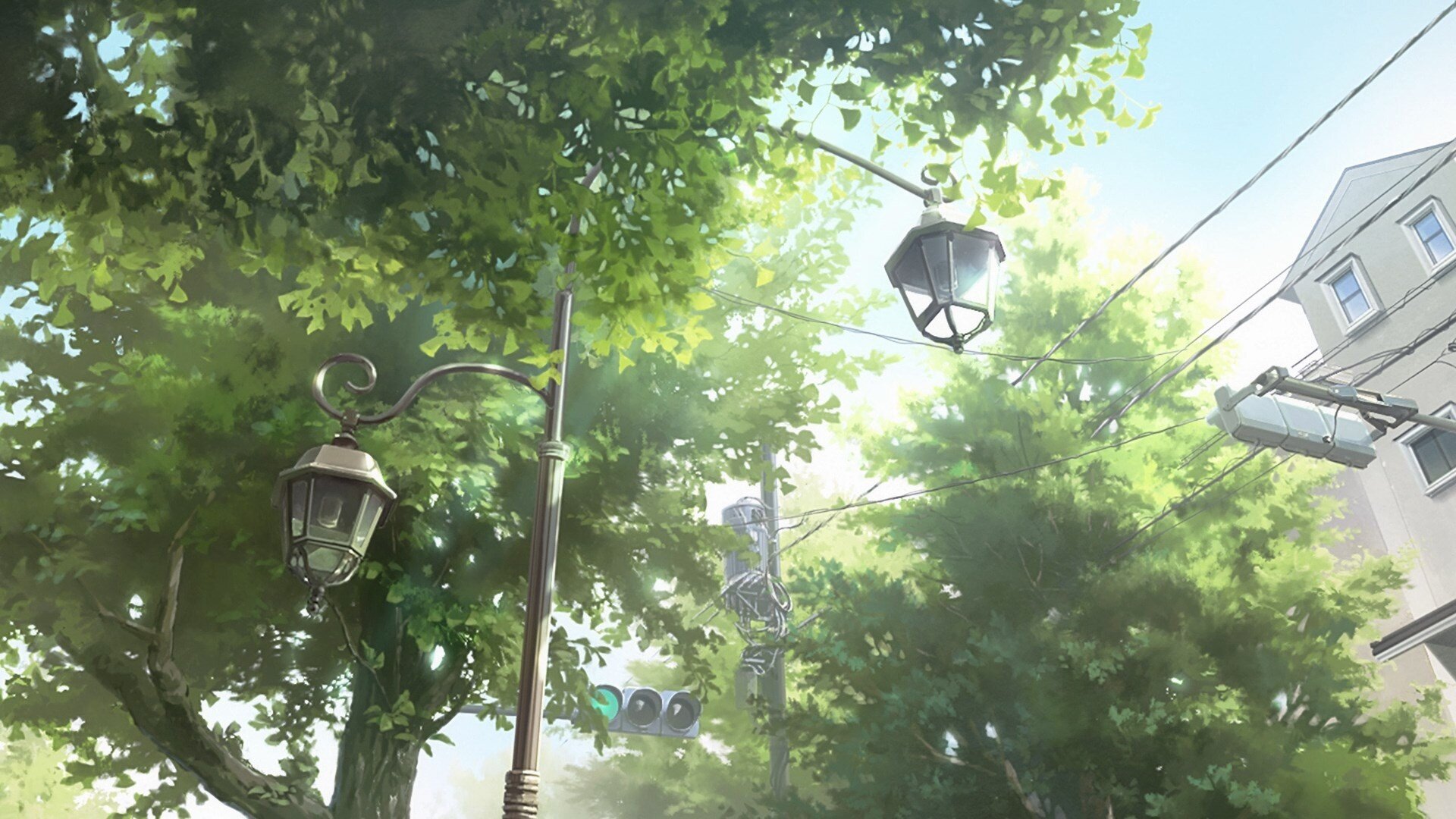 The Fragrant Flower Blooms With Dignity Shots and photo