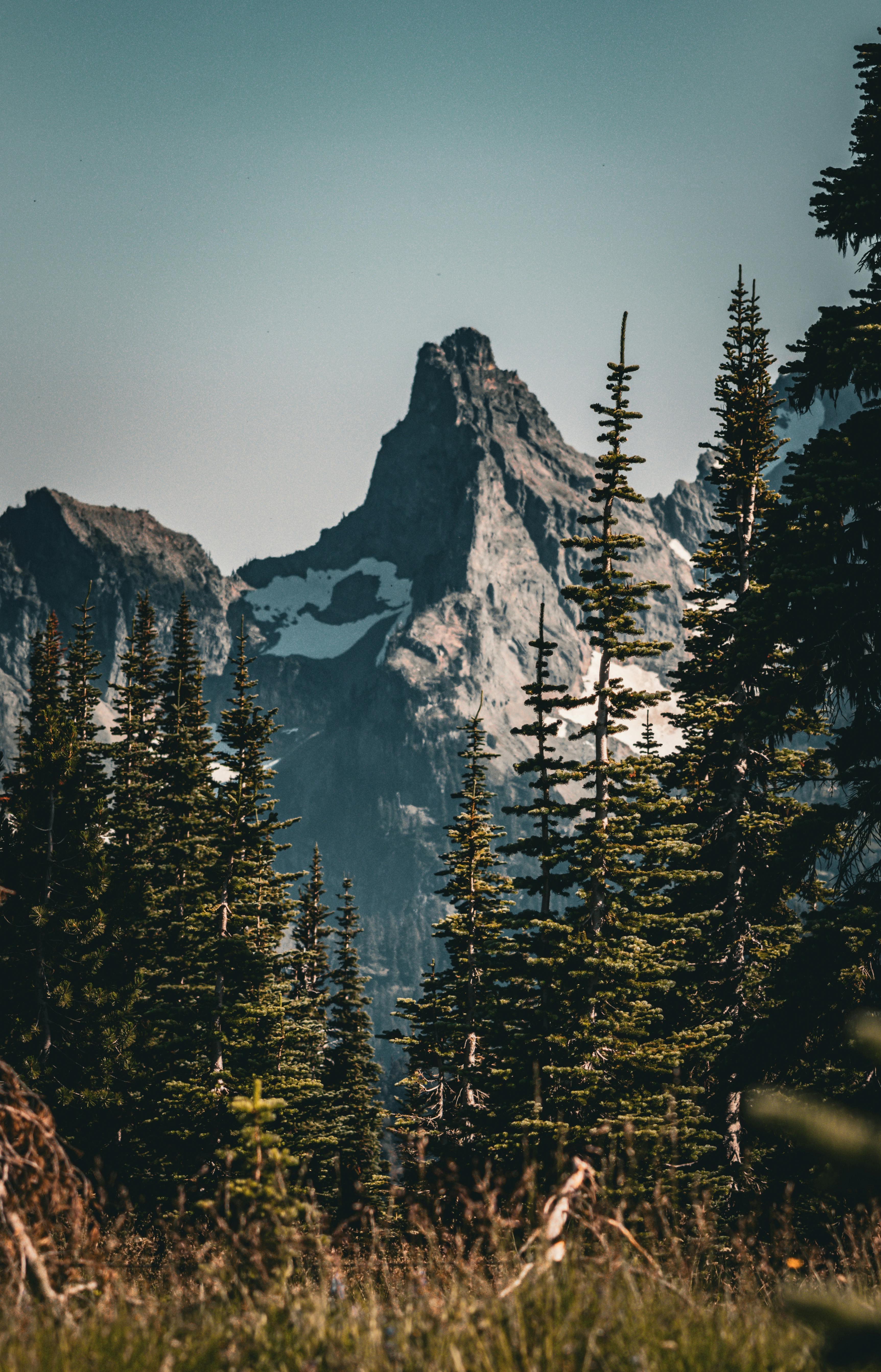 Stunning Mountain View in Washington State Wilderness · Free