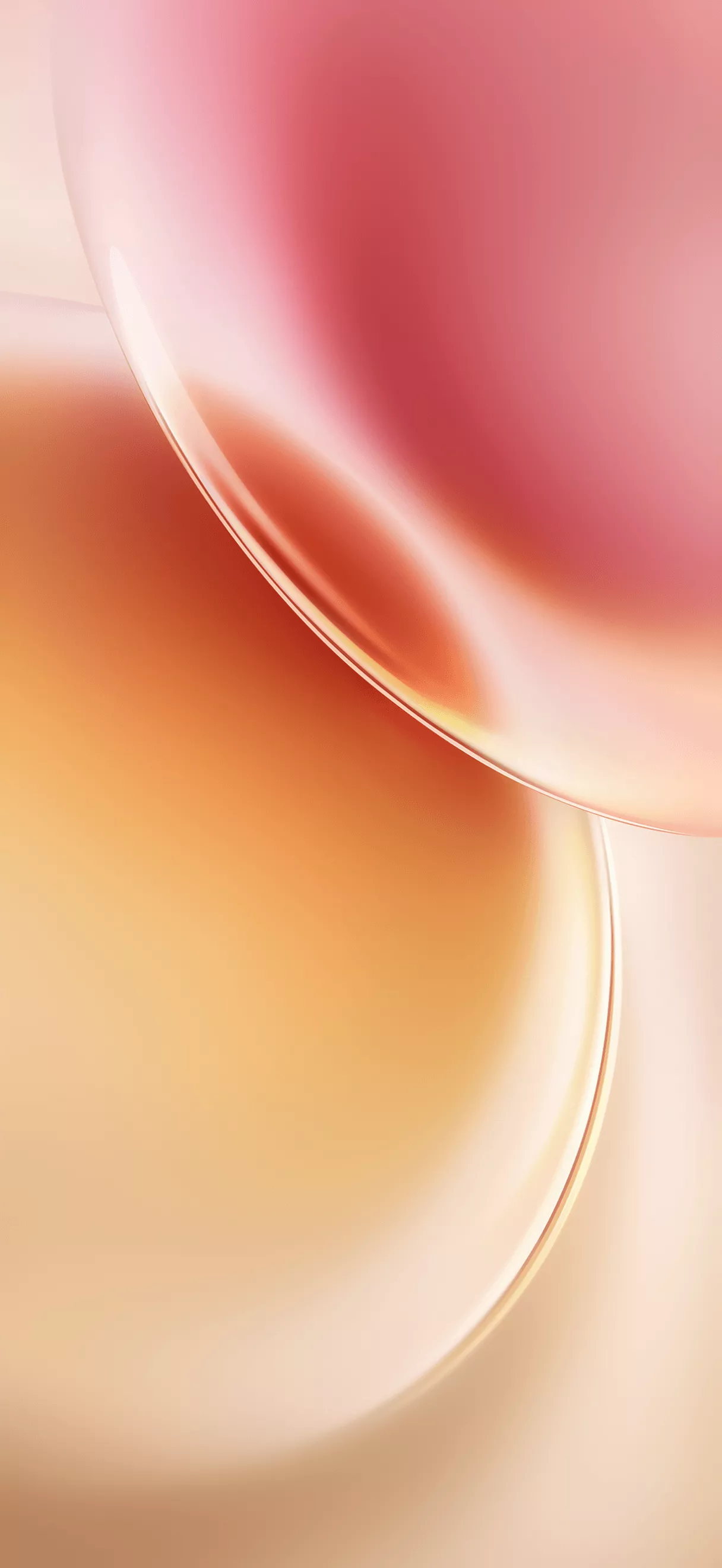 Vivo X300 Pro wallpaper