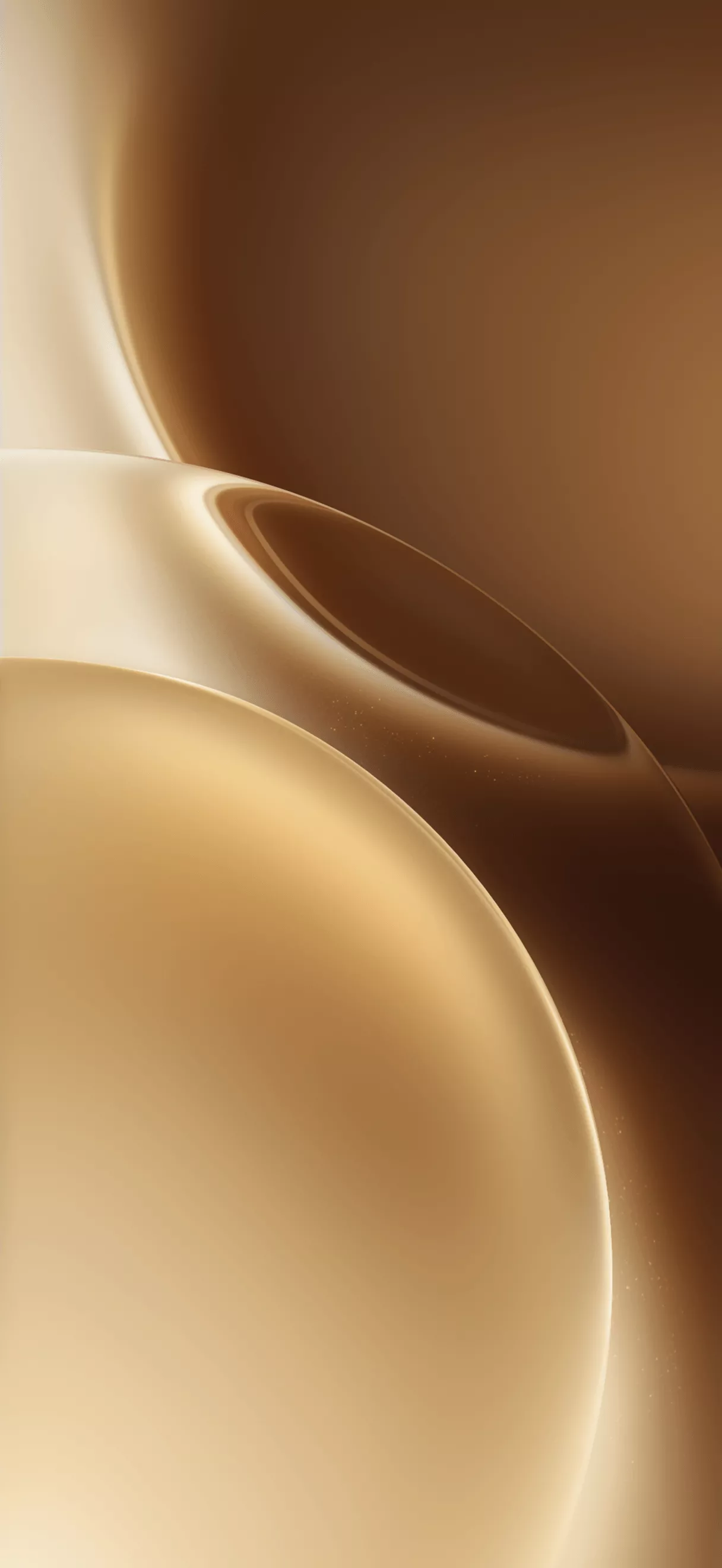 Vivo X300 Pro wallpaper