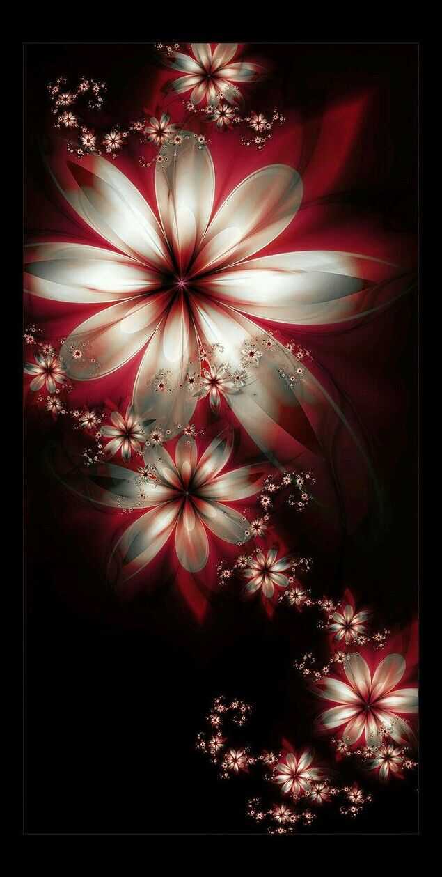 Red and White Flowers Wallpaper
