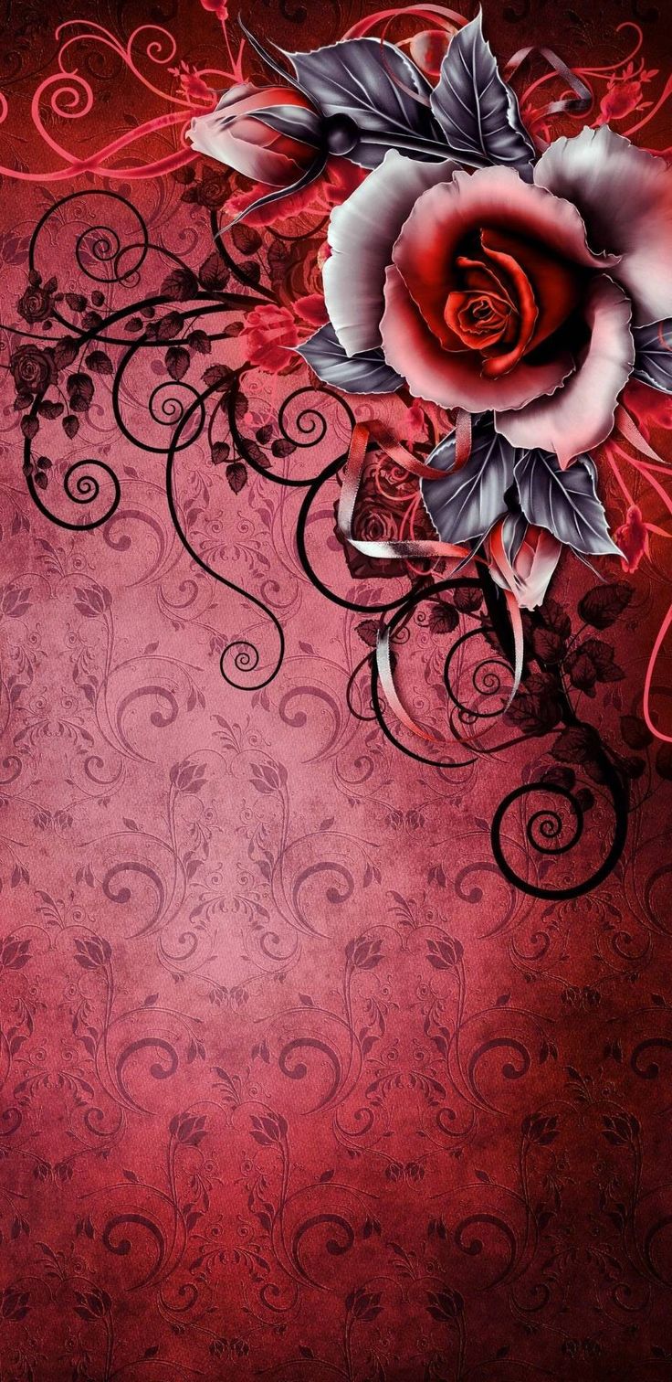 Lovely Flowers Wallpaper and Black Floral Background