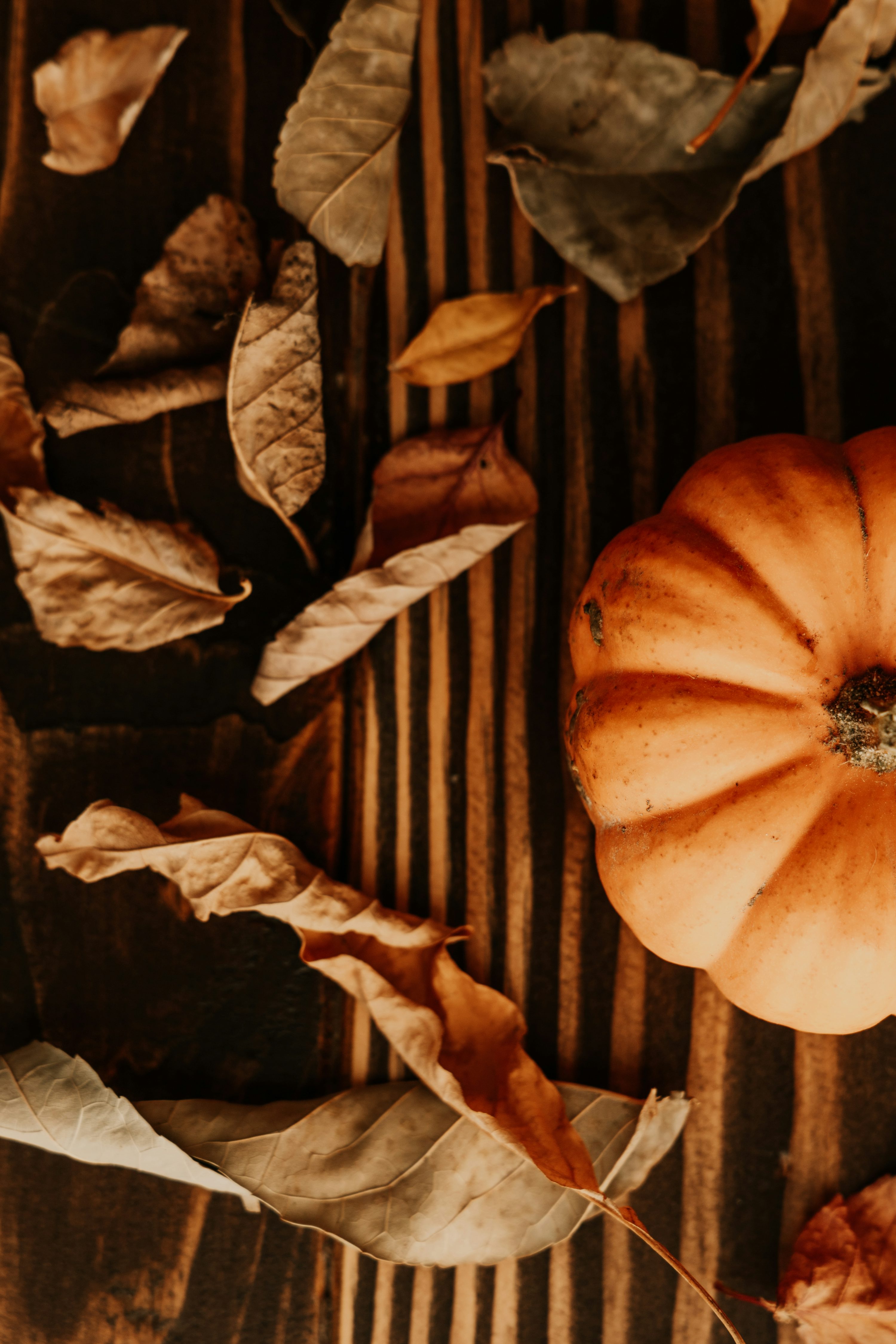 Fall Aesthetic Picture. Download Free Image