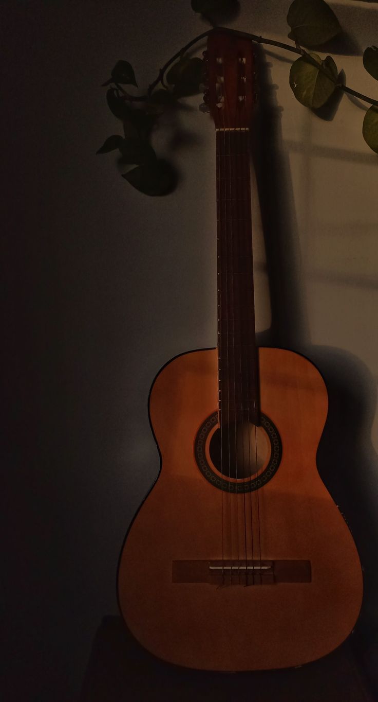 Guitar. Pretty wallpaper, Guitar, Instruments