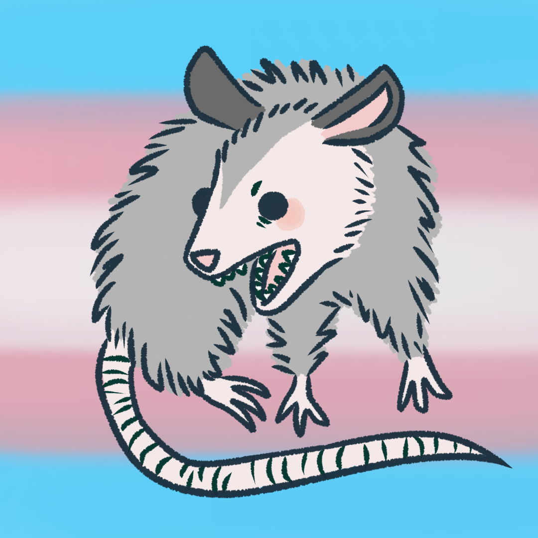 Lgbt Icon and Wallpaper for all