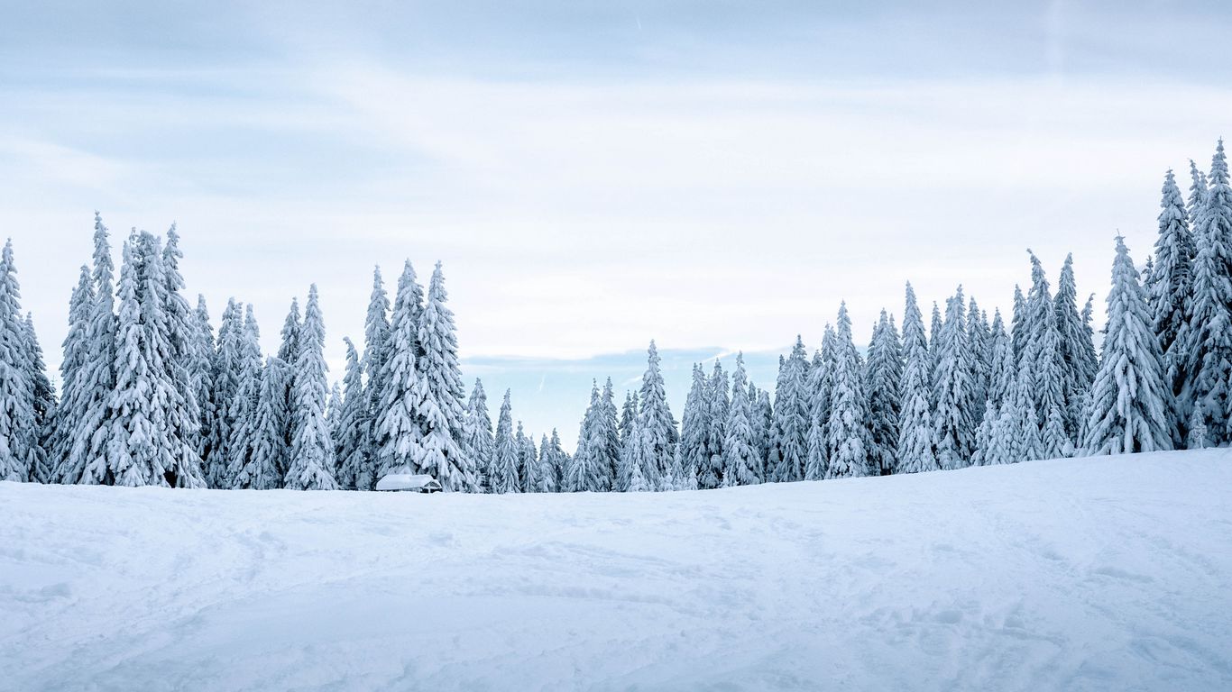 Download wallpaper 1366x768 snow, winter, trees, winter landscape, snowy tablet, laptop HD background
