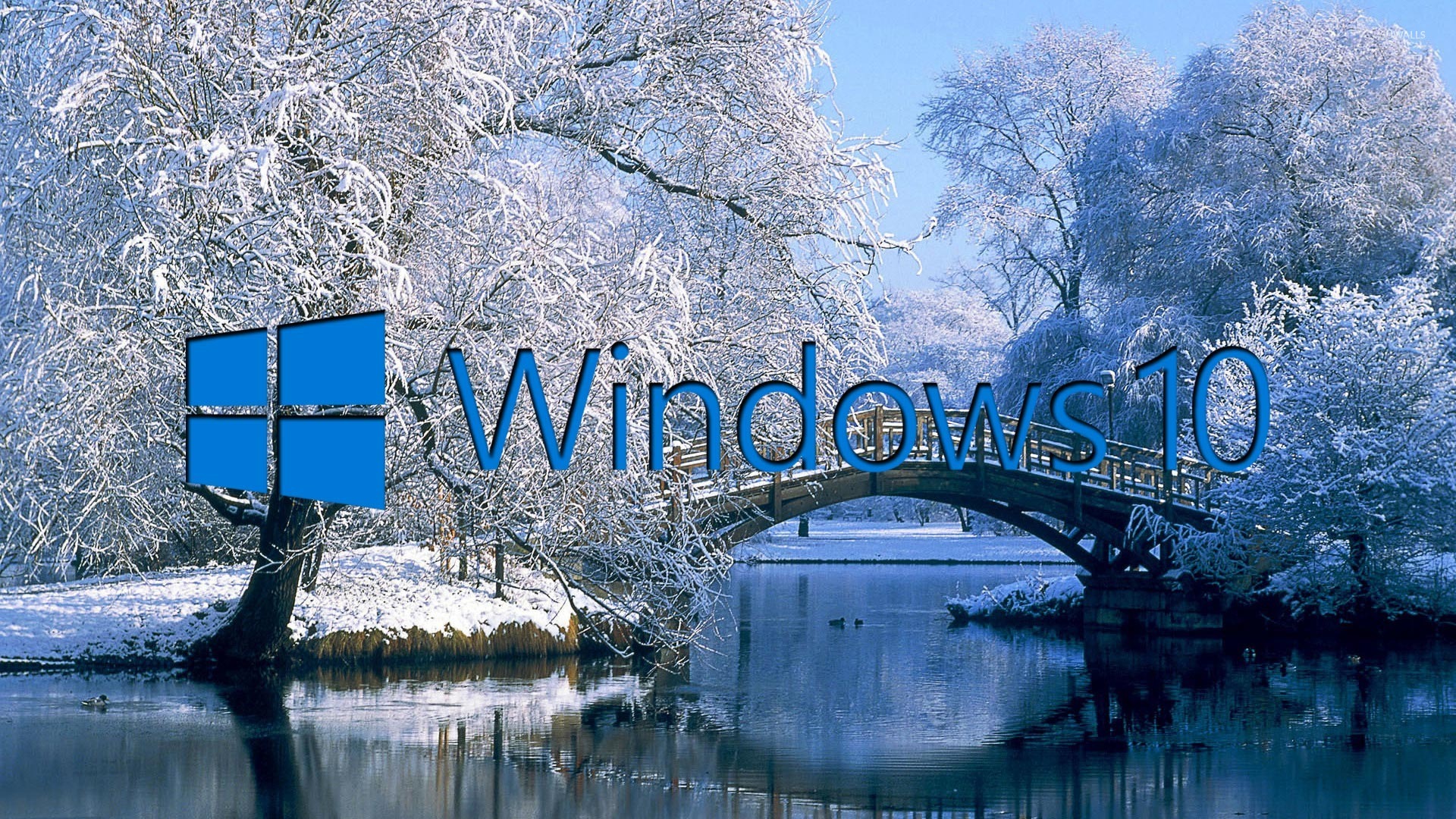 Windows 10 on the snowy lake blue text logo wallpaper wallpaper