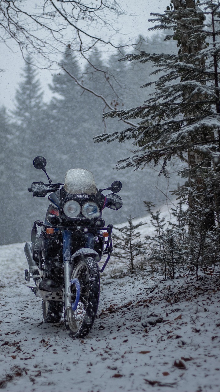 Motorbike Winter Nature