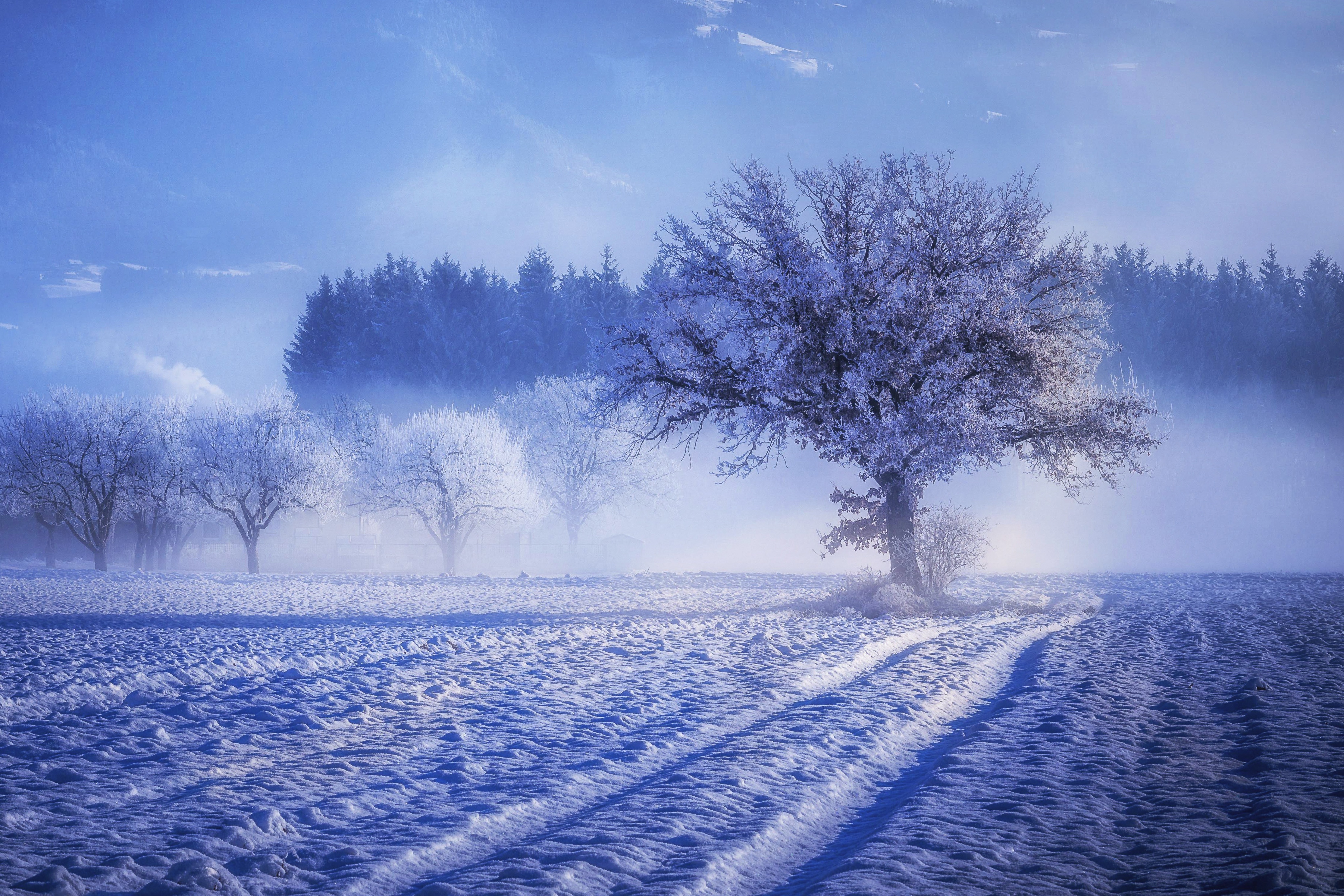 Wallpaper Winter, Snow, Natural Landscape, Nature, Freezing, Background Free Image