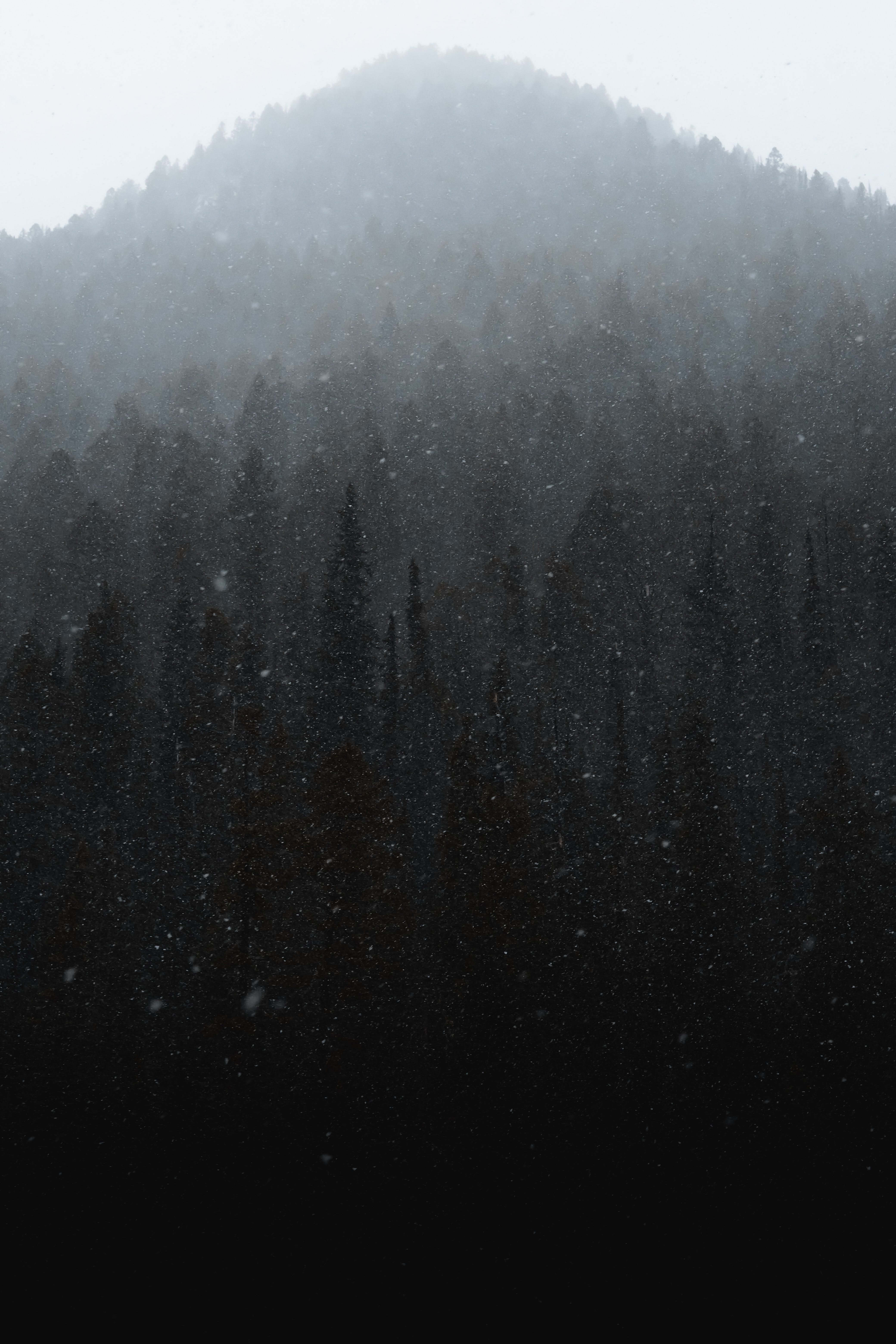 Wallpaper Mist, Winter, Black, Fog, Drizzle, Background Free Image