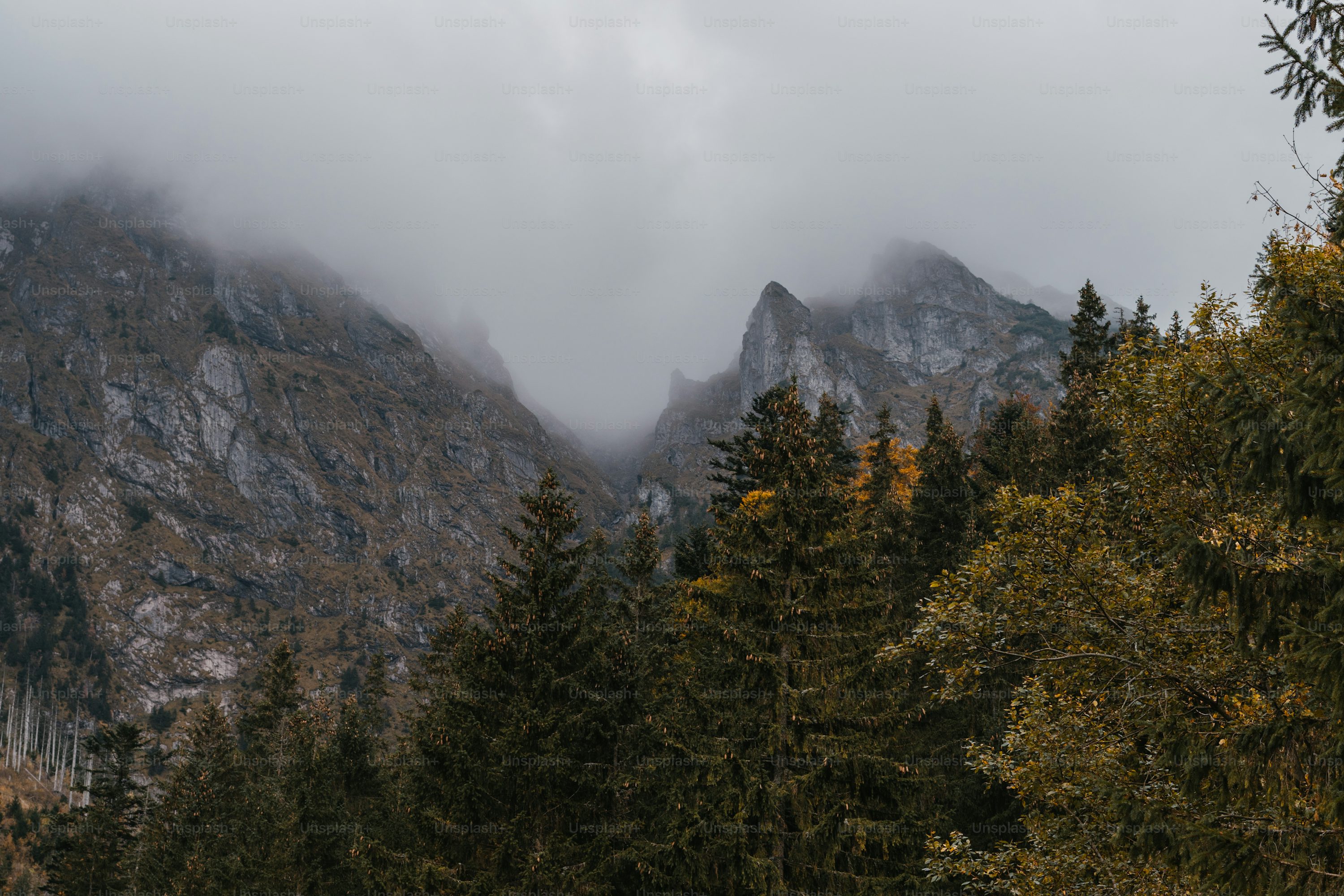 Mountains Autumn Picture. Download Free Image