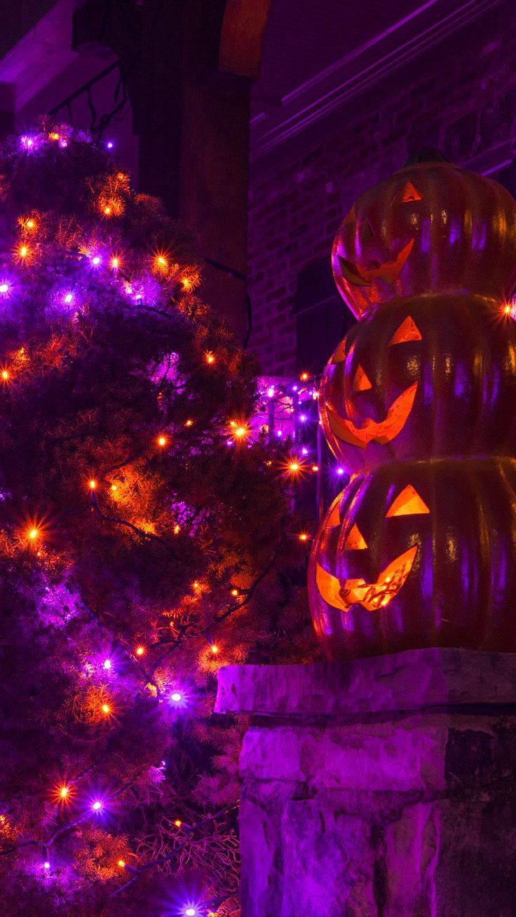 Halloween Lights & Decor