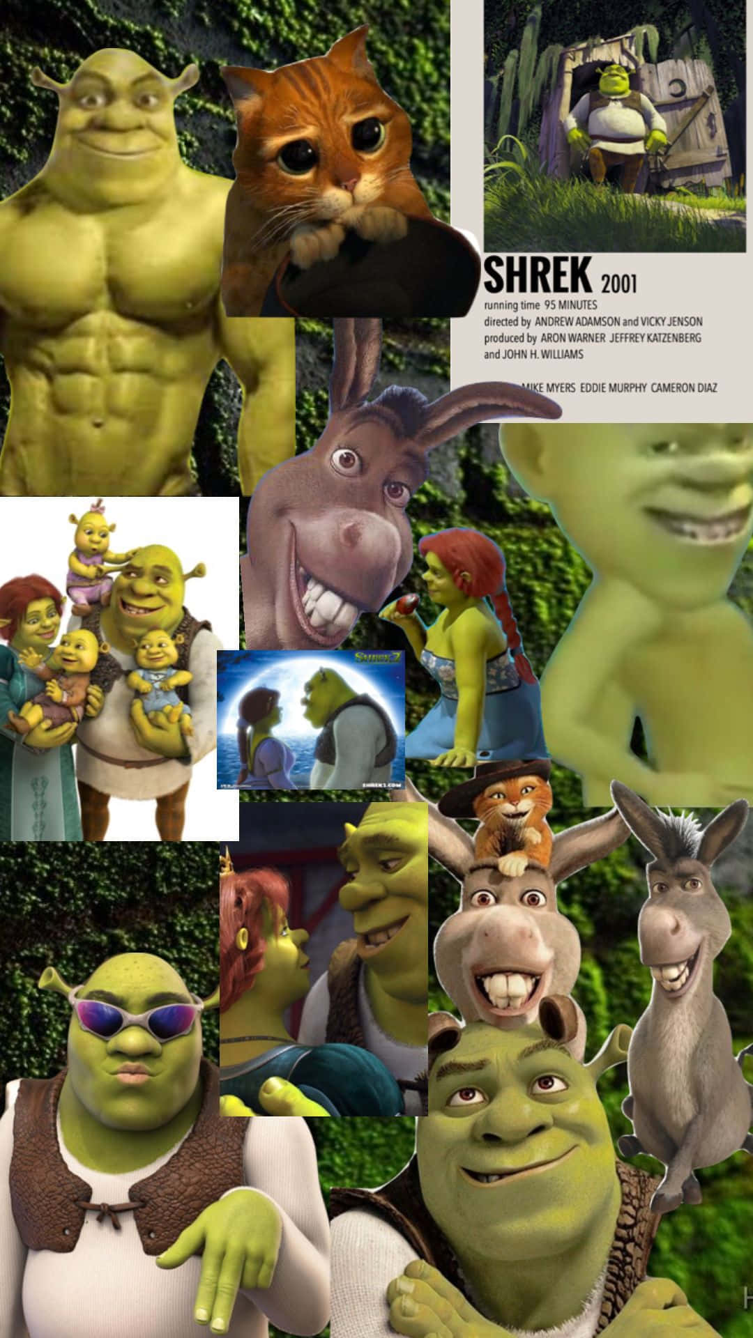 Download Shrek Characters Collage Wallpaper