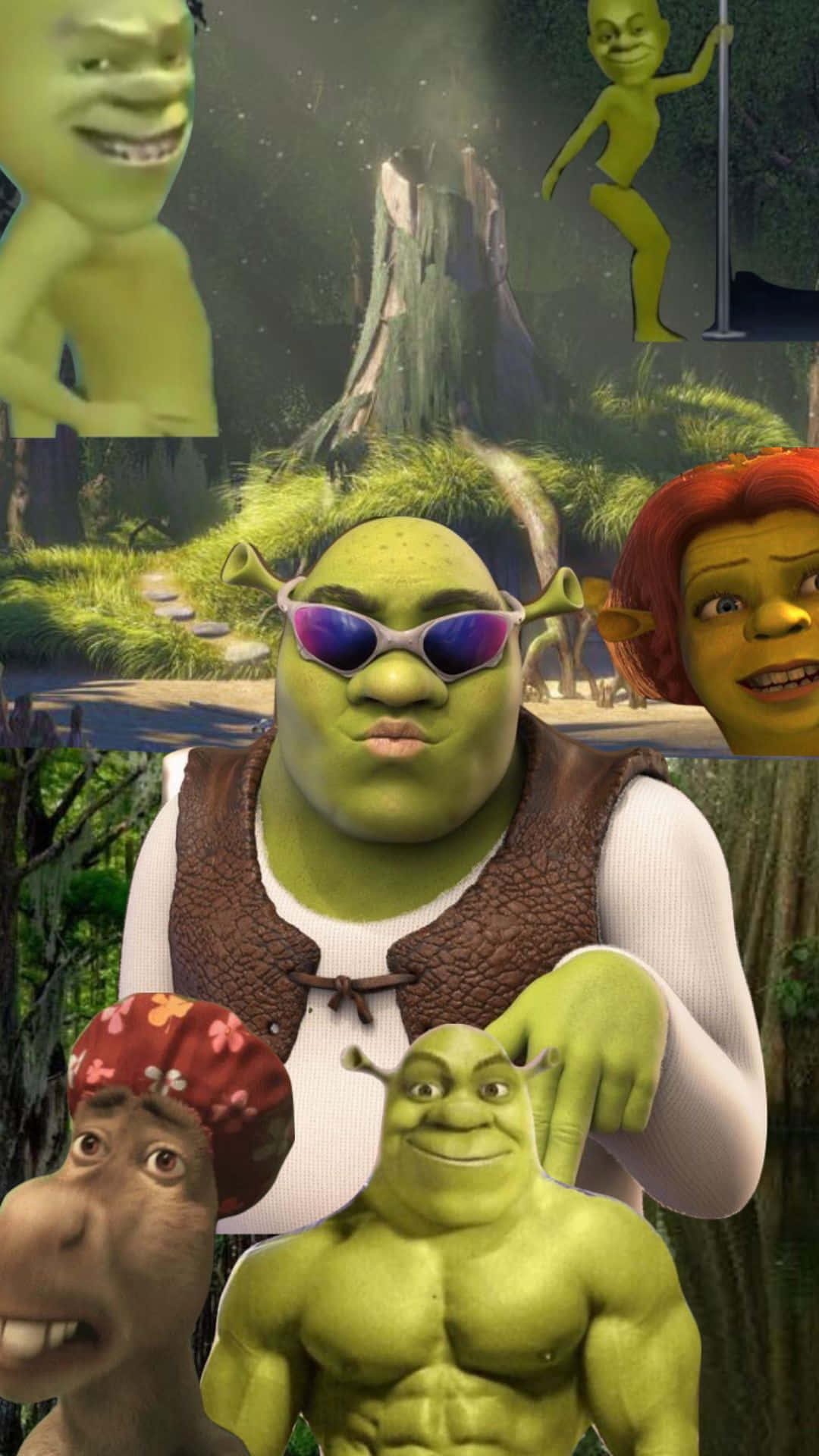 Download Shrek_ Character_ Collage Wallpaper