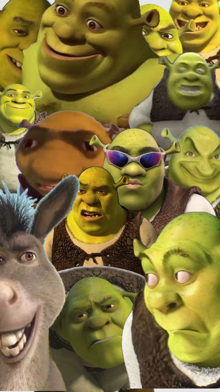 Shrek funny, Shrek, Funny wallpaper