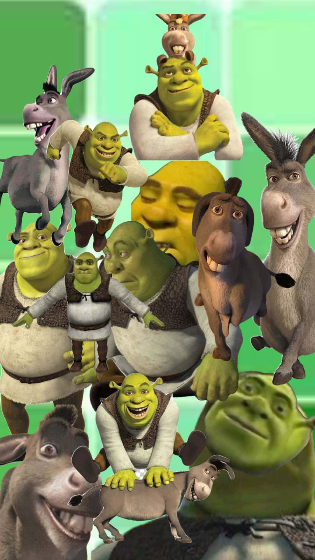 Download Shrekand Donkey Collage Wallpaper