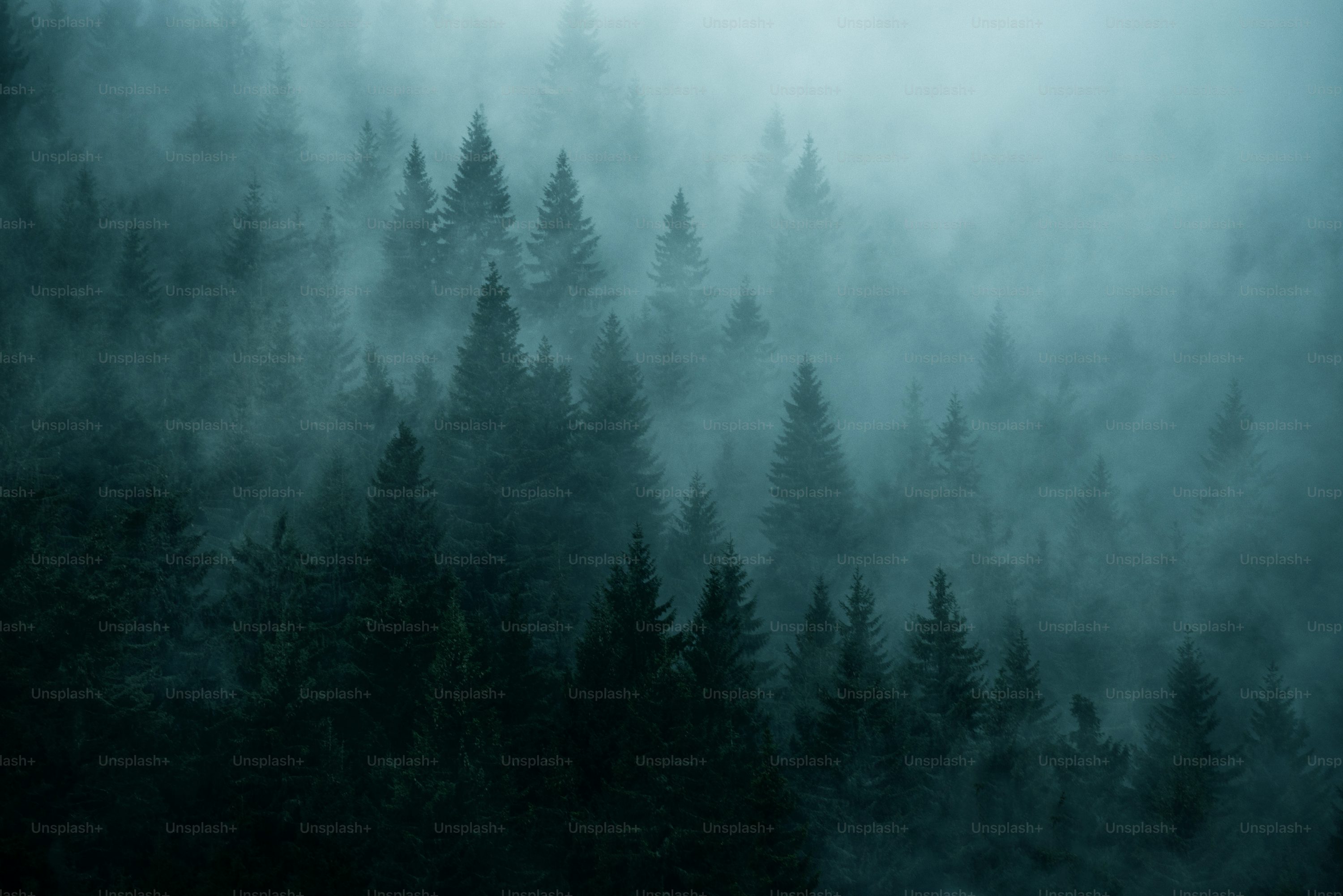 Blue Fog Picture. Download Free Image