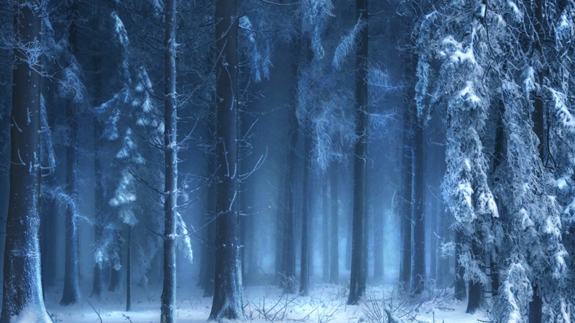 Winter forest in fog Desktop wallpaper 1920x1080