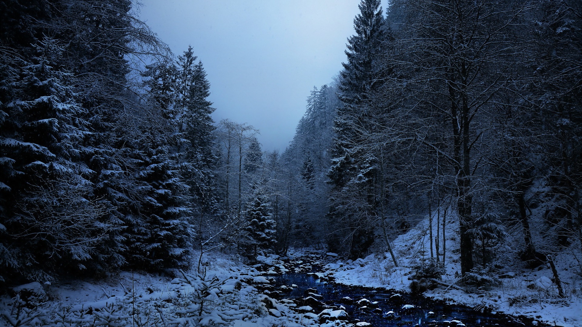 Wallpaper Winter, snow, trees, creek, dusk 1920x1200 Picture, Image