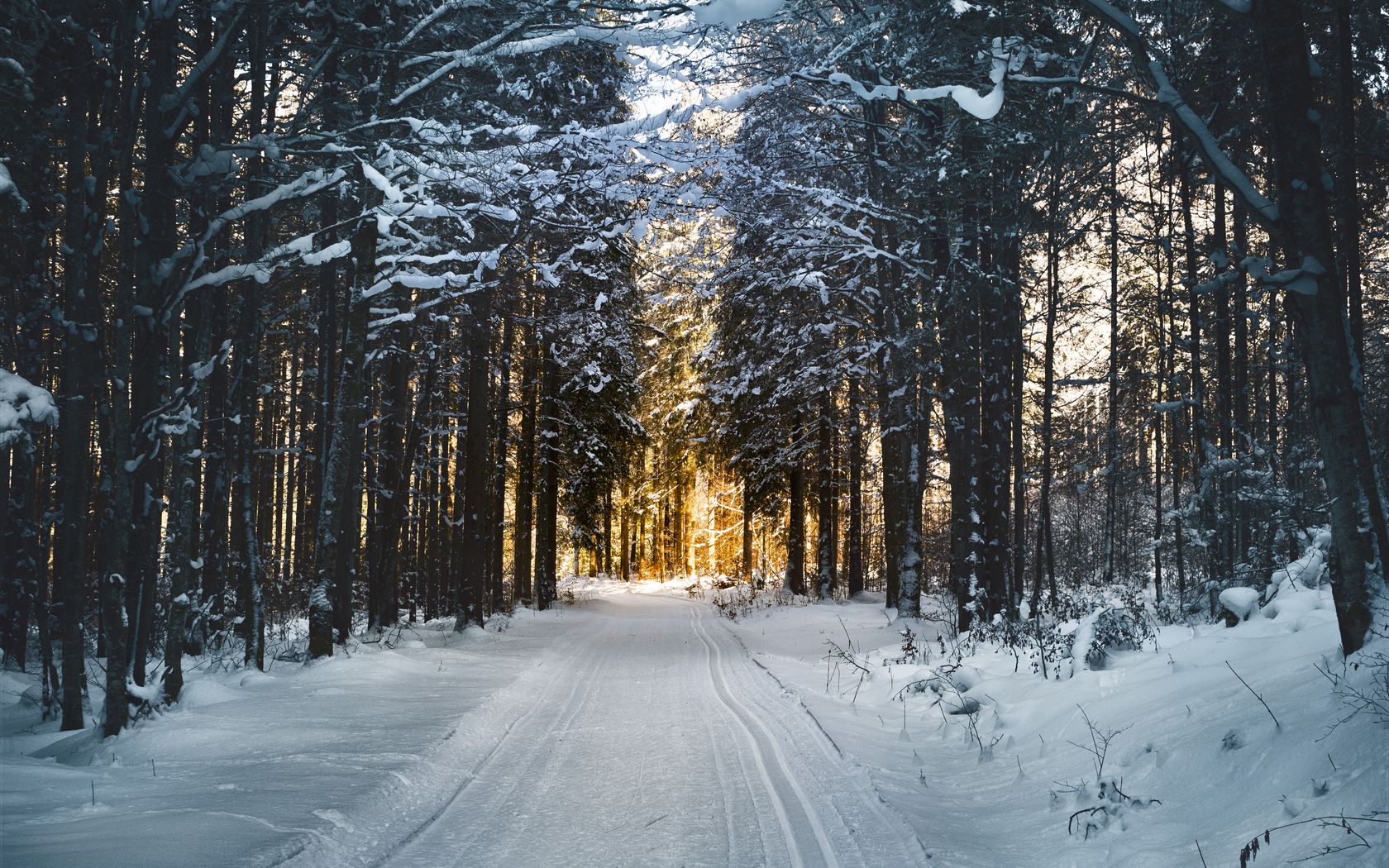 Download wallpaper 1680x1050 winter, snow, road, trees widescreen 16:10 HD background