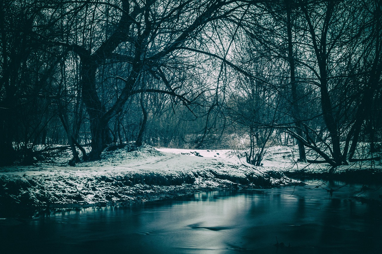 River Winter Mood