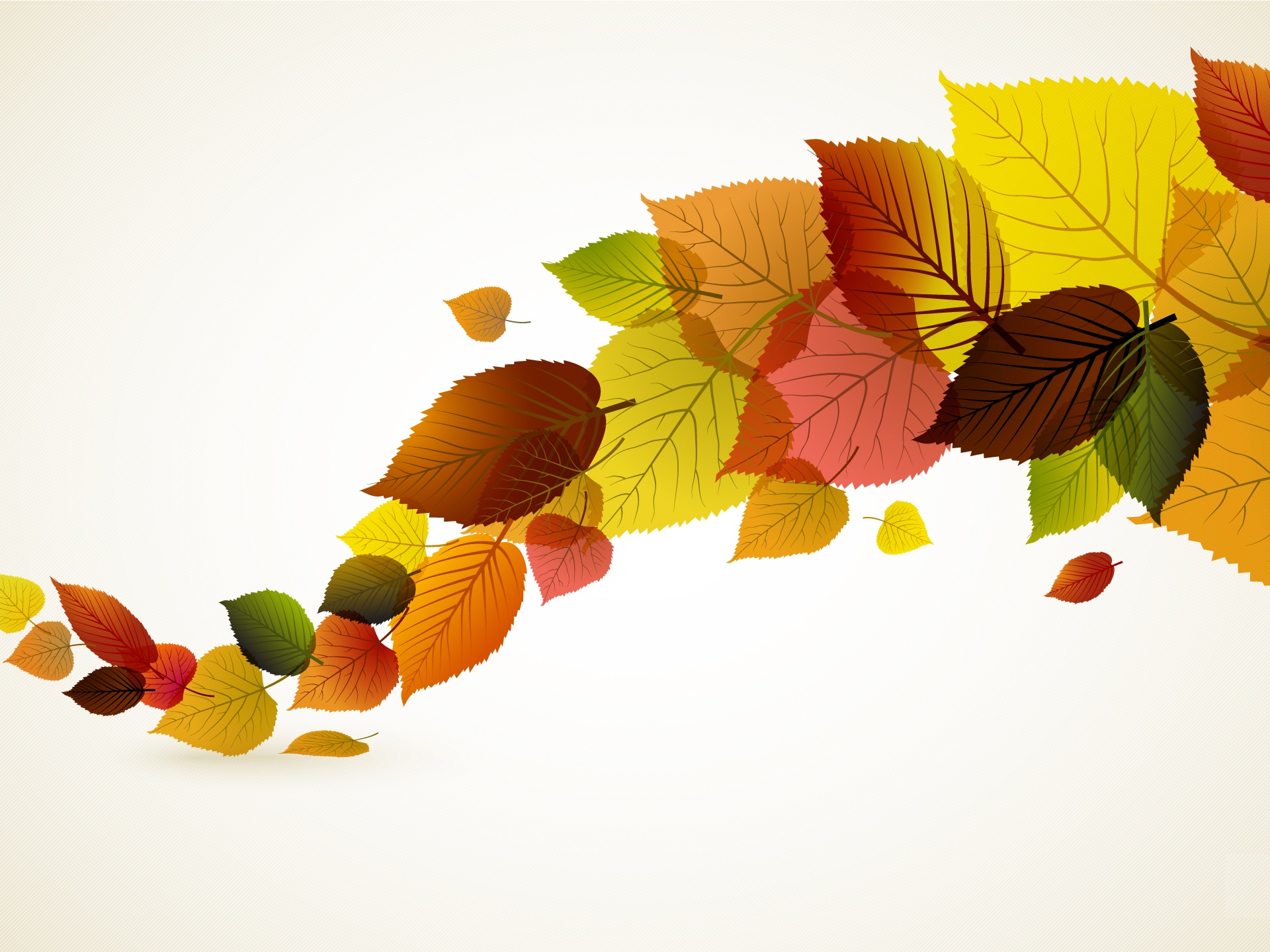 Wallpaper Autumn leaves vector creative 2560x1440 QHD Picture, Image