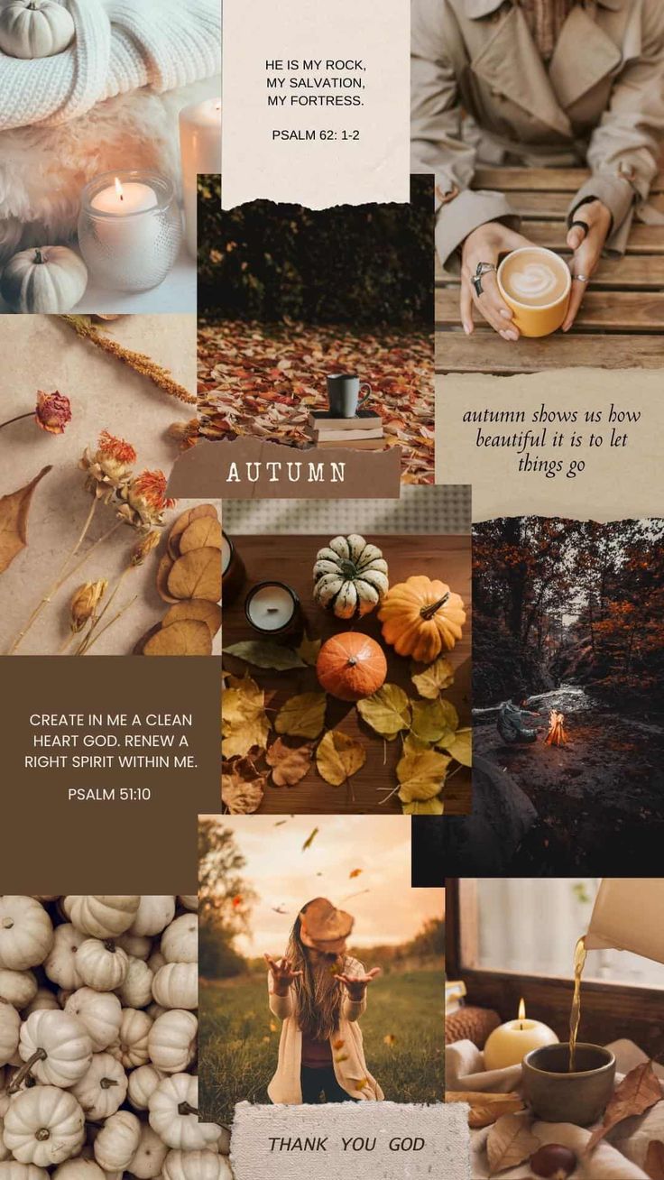 iPhone wallpaper fall, Fall wallpaper, Fall collage wallpaper iphone