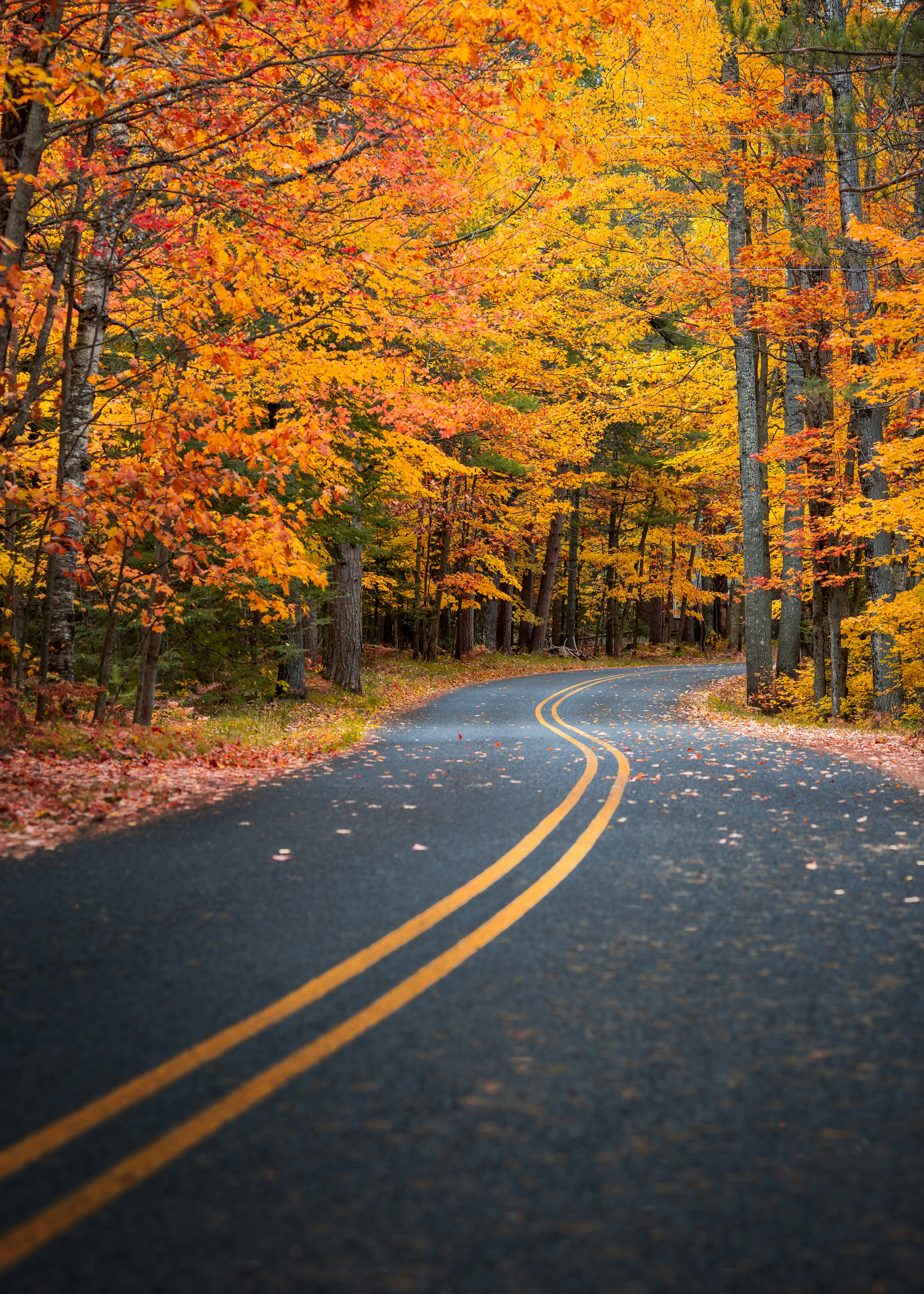 Autumn Road Picture. Download Free Image
