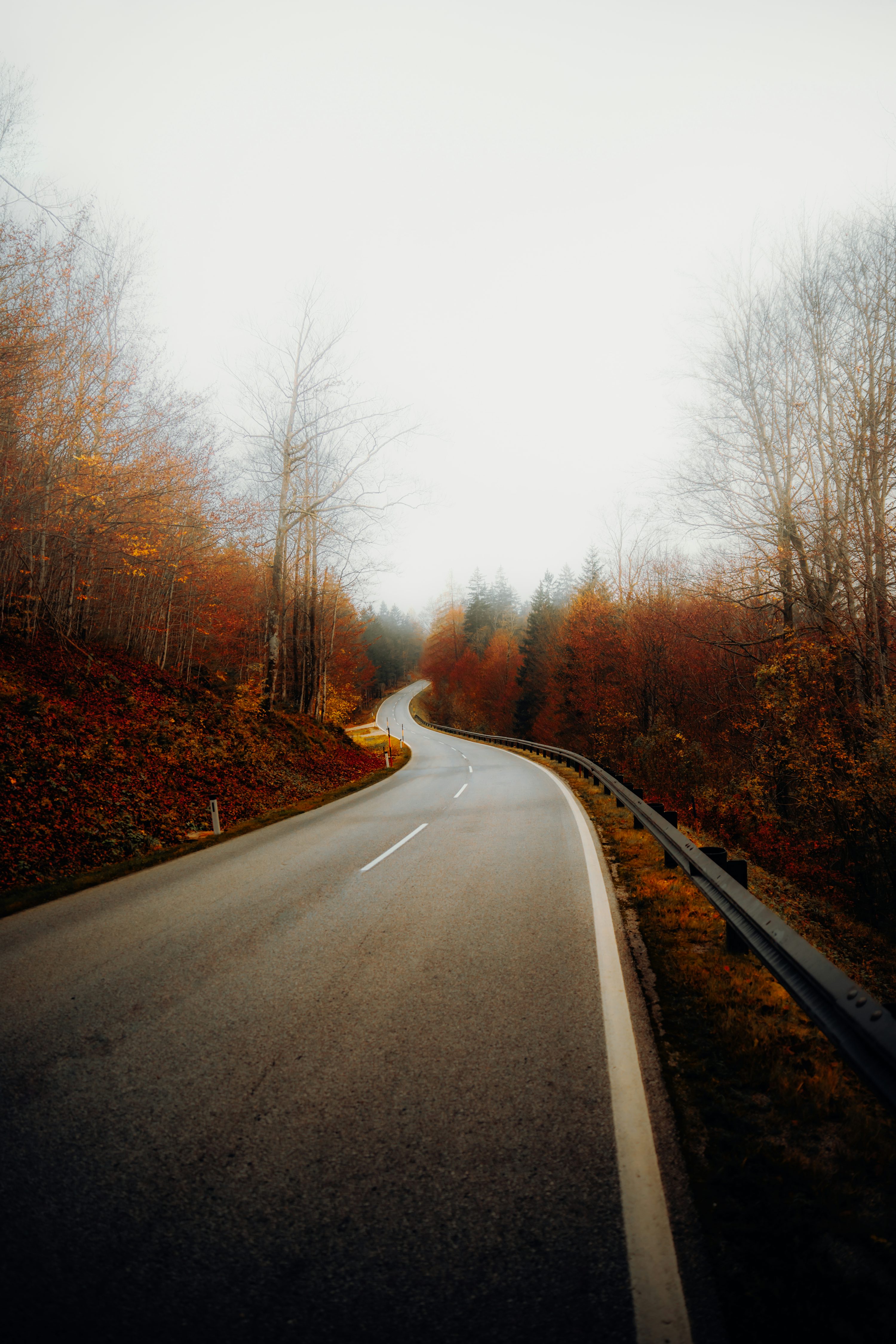 Autumn Road Picture. Download Free Image