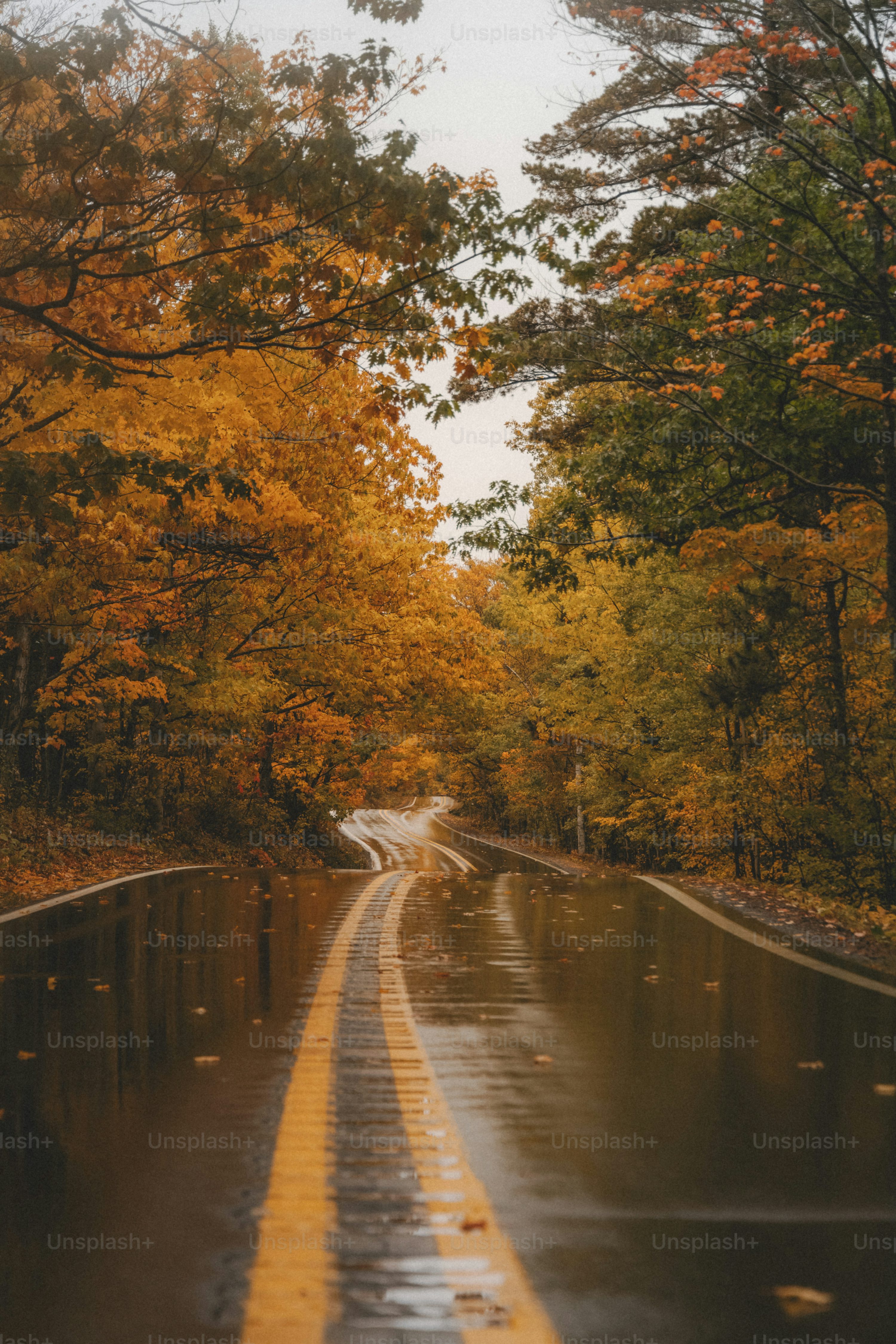 Autumn Road Picture. Download Free Image