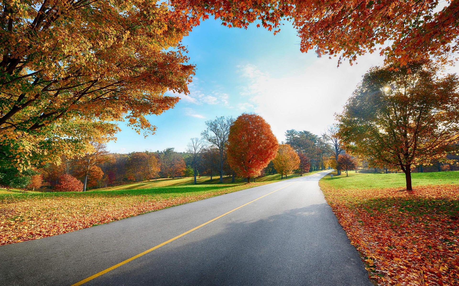 Late Autumn Road Natural Landscape HD Wallpaper