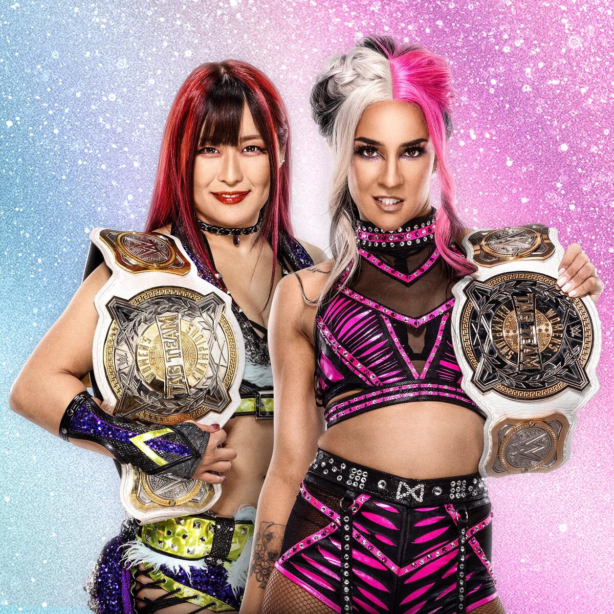 Hall of WWE Women's Tag Team Champions: photoWWE
