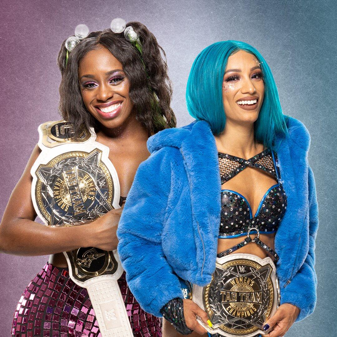 Hall of WWE Women's Tag Team Champions: photoWWE