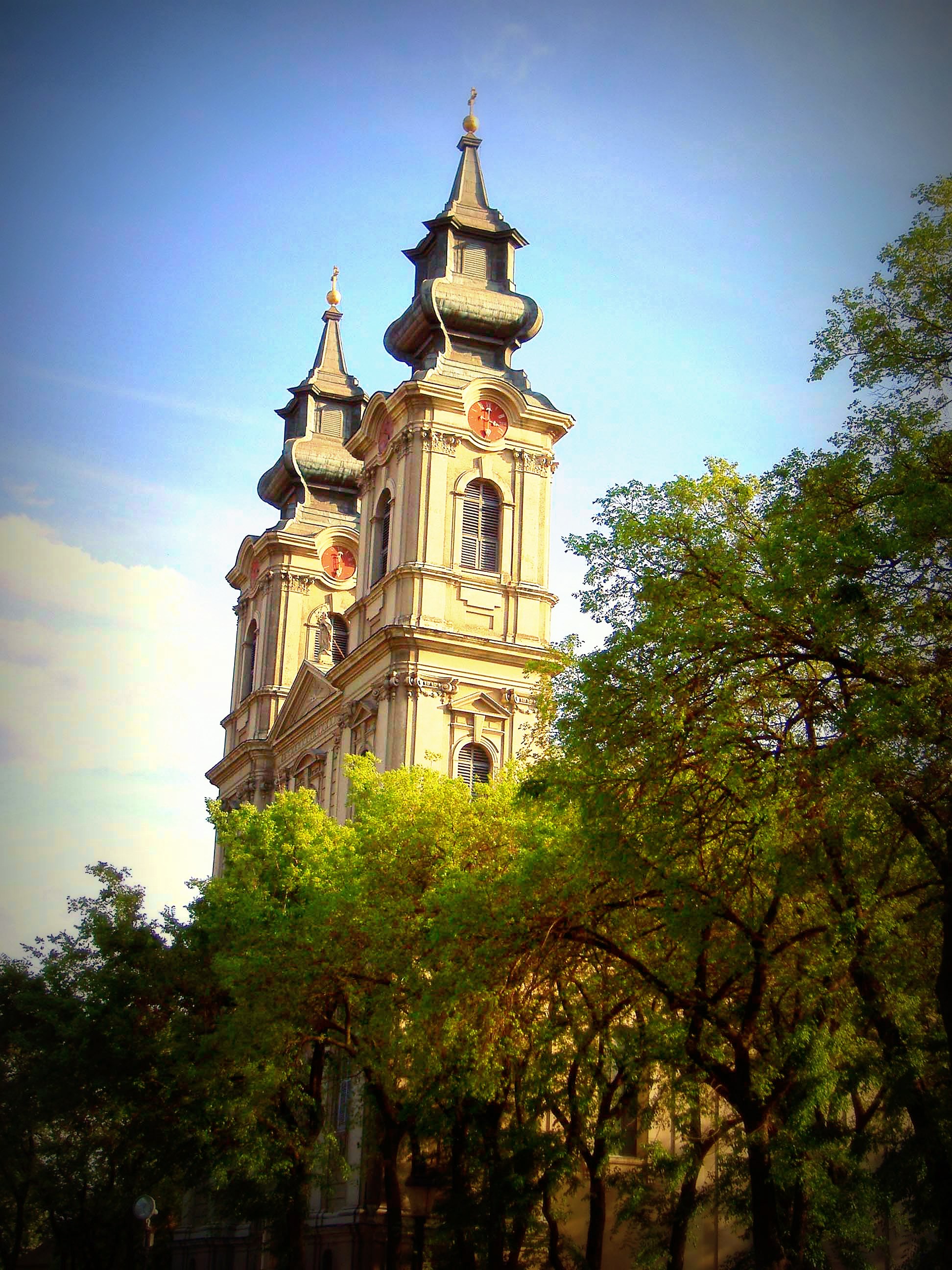 Free Image, downtown, cathedral, church, religion, christian, green, tree, park, summer, blue sky, clear day, subotica, vojvodina, serbia, photo, travel, poster, landmark, steeple, building, spire, place of worship, tourist attraction, basilica