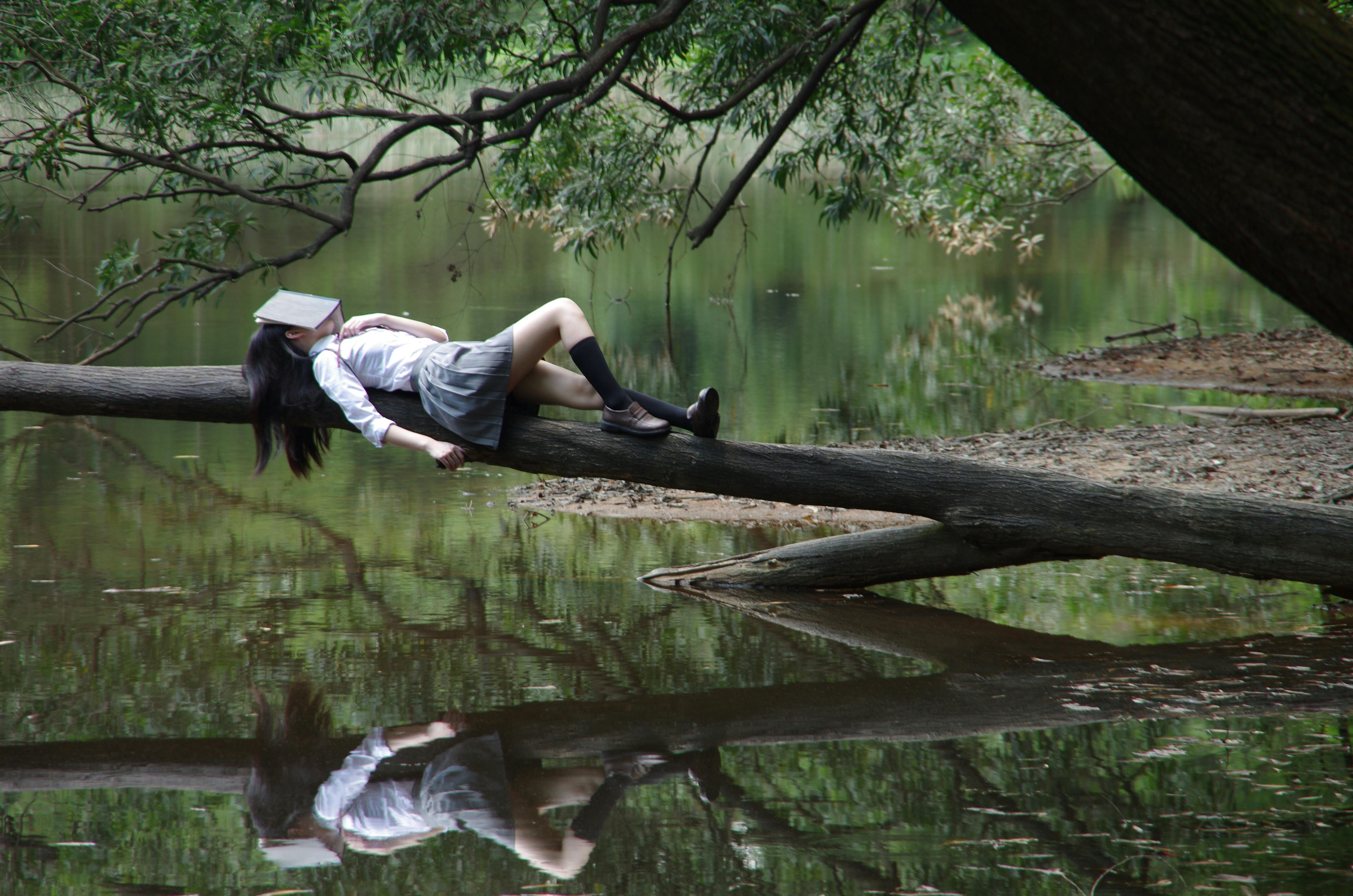 Lazy Photo, Download The BEST Free Lazy & HD Image