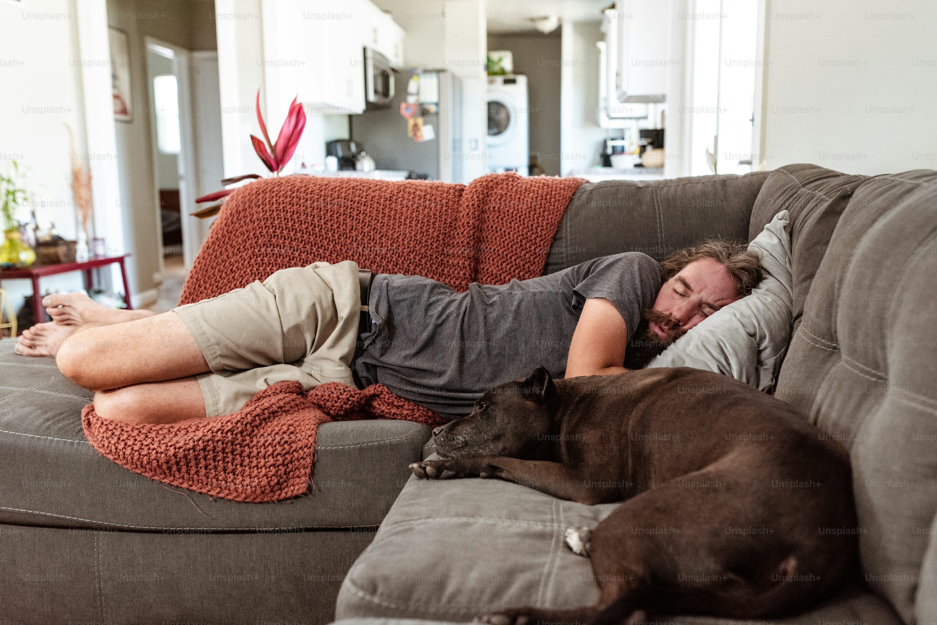Lazy Man Picture. Download Free Image