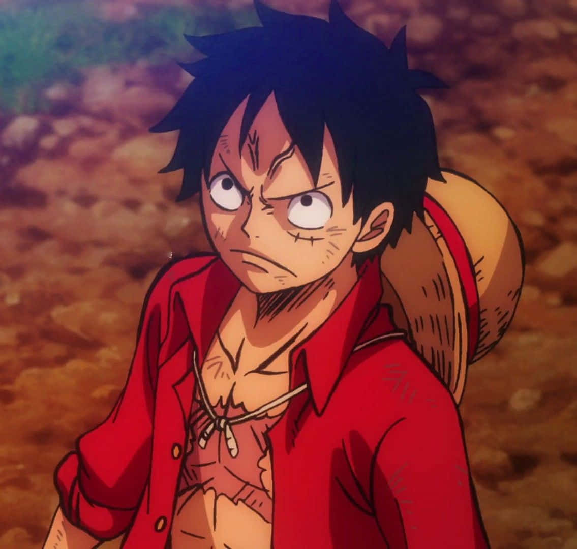 Download Luffy and Friends Prepare to Brave the 'One Piece Stampede!' Wallpaper