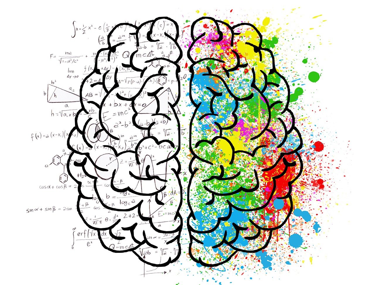 Free Creative Mind & Brain Image