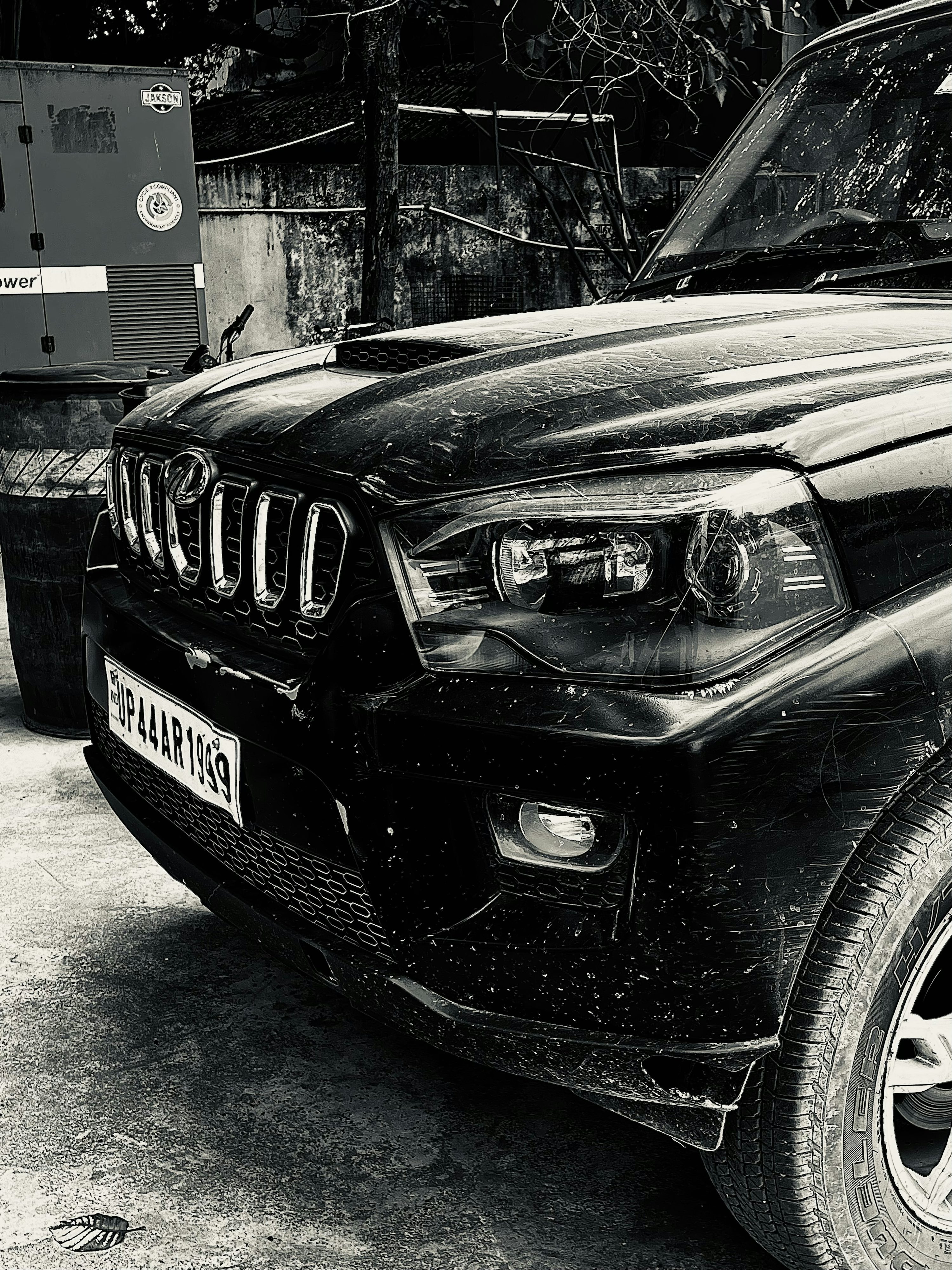 Scorpio Picture. Download Free Image